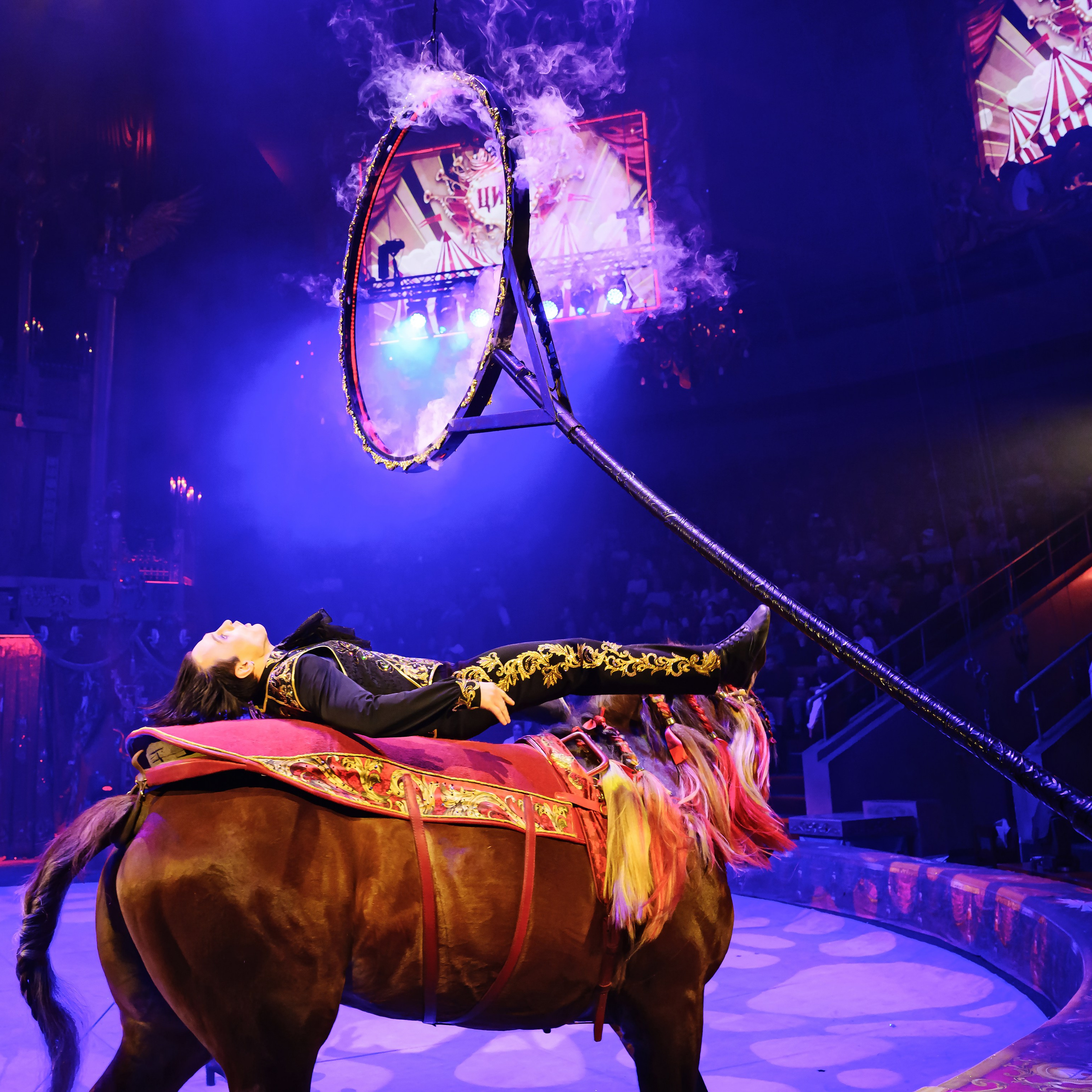 Royal Circus (новые номера). Фотограф Андрей Пухов (Jazz)