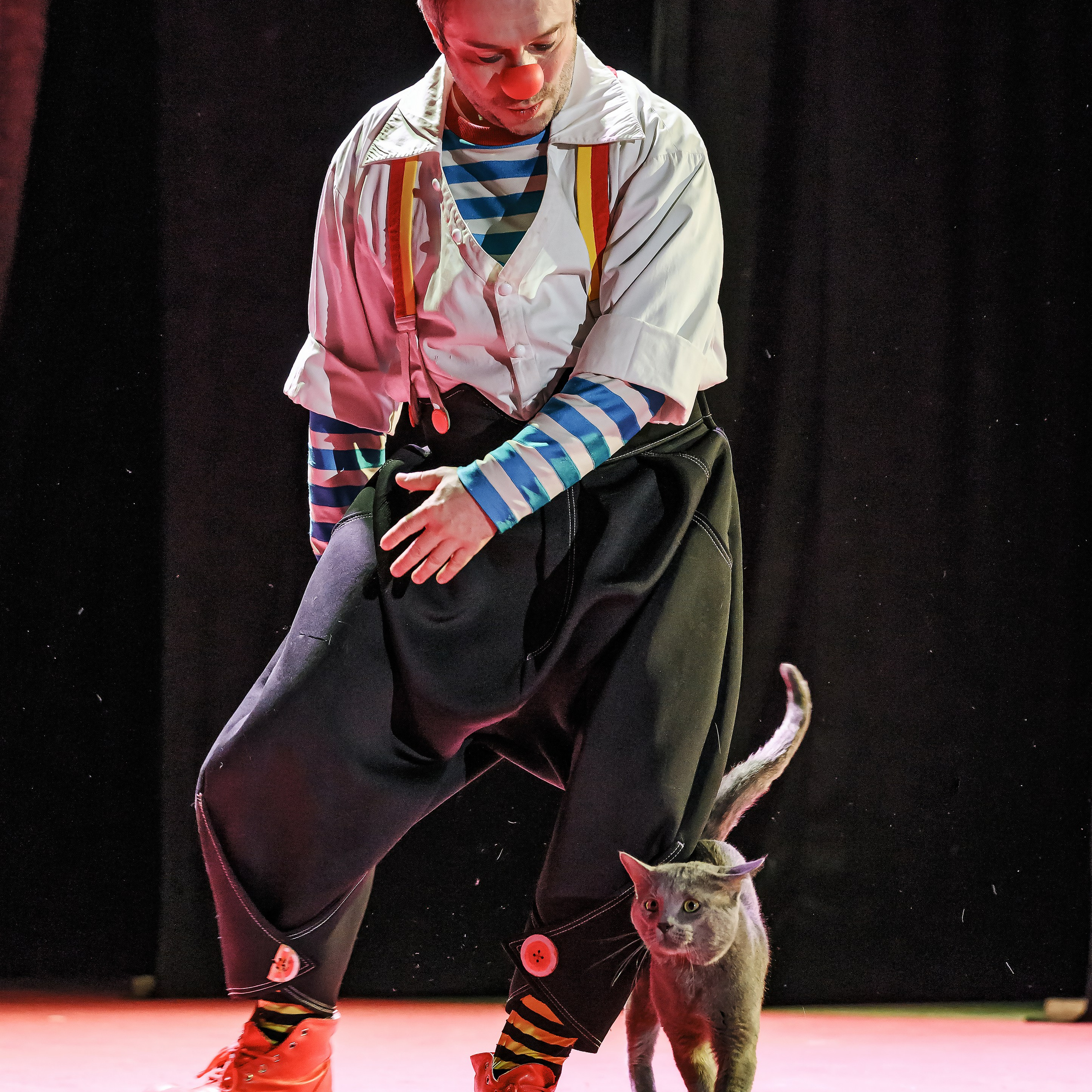 Великий клоун, Народный артист России, Юрий Куклачёв со звёздами эстрады и цирка, уникальный бенефис!. Фотограф Андрей Пухов (Jazz)