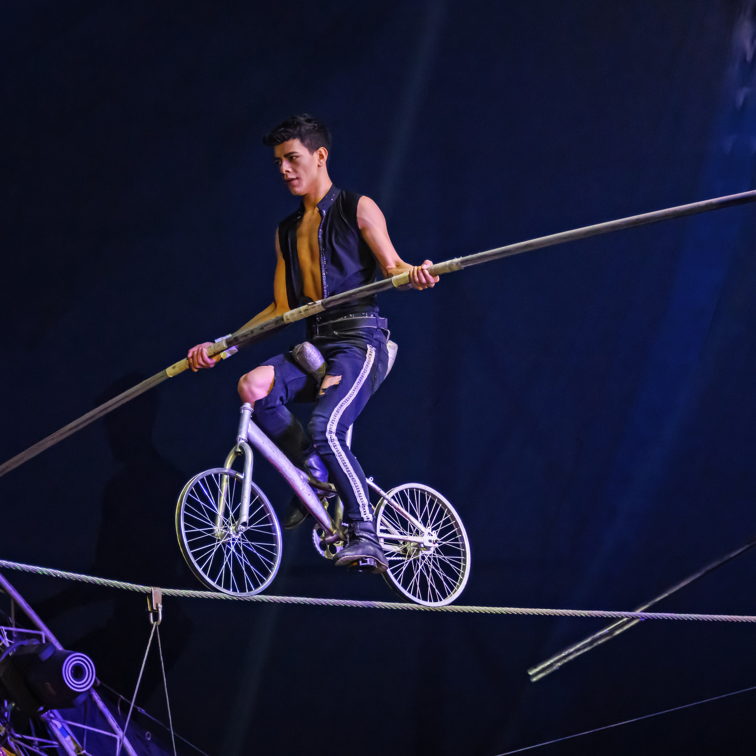 Шоу Демидовых. Цирковой фотограф Андрей Пухов (Jazz)