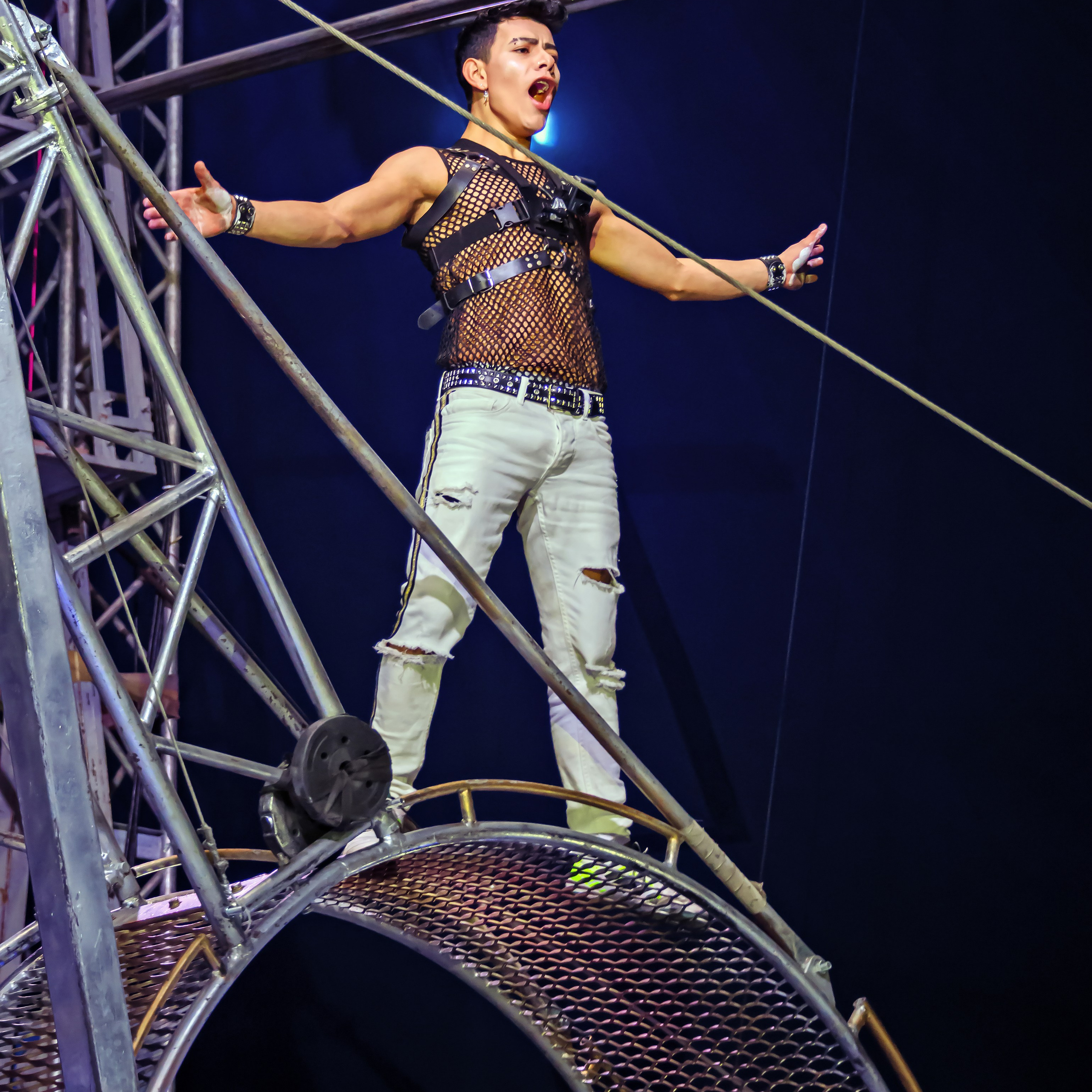 Шоу Демидовых. Цирковой фотограф Андрей Пухов (Jazz)