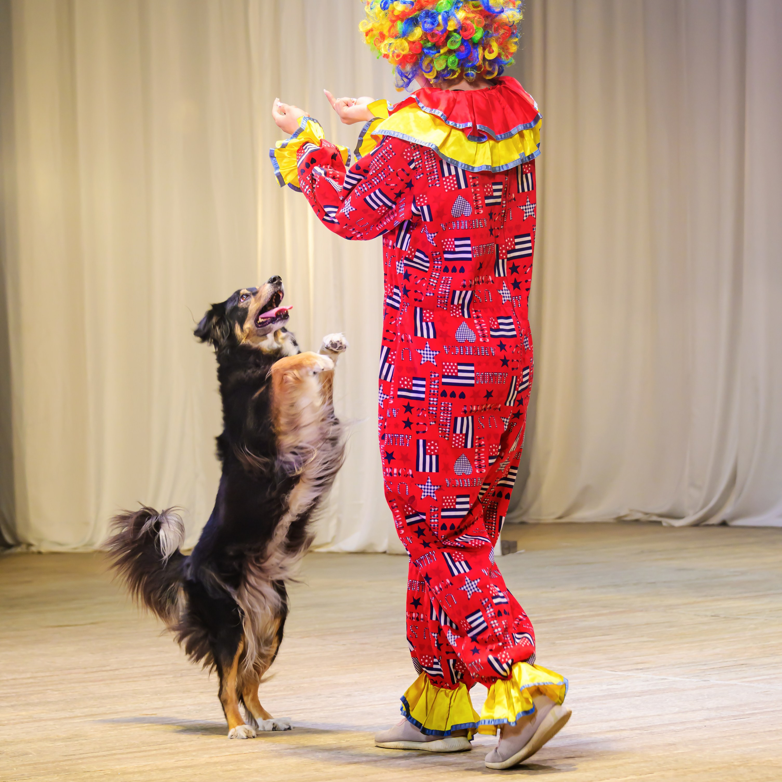 Народный коллектив, цирк «Юность» ДК ГАЗ, г. Нижний Новгород 👏. Фотограф Андрей Пухов (Jazz)