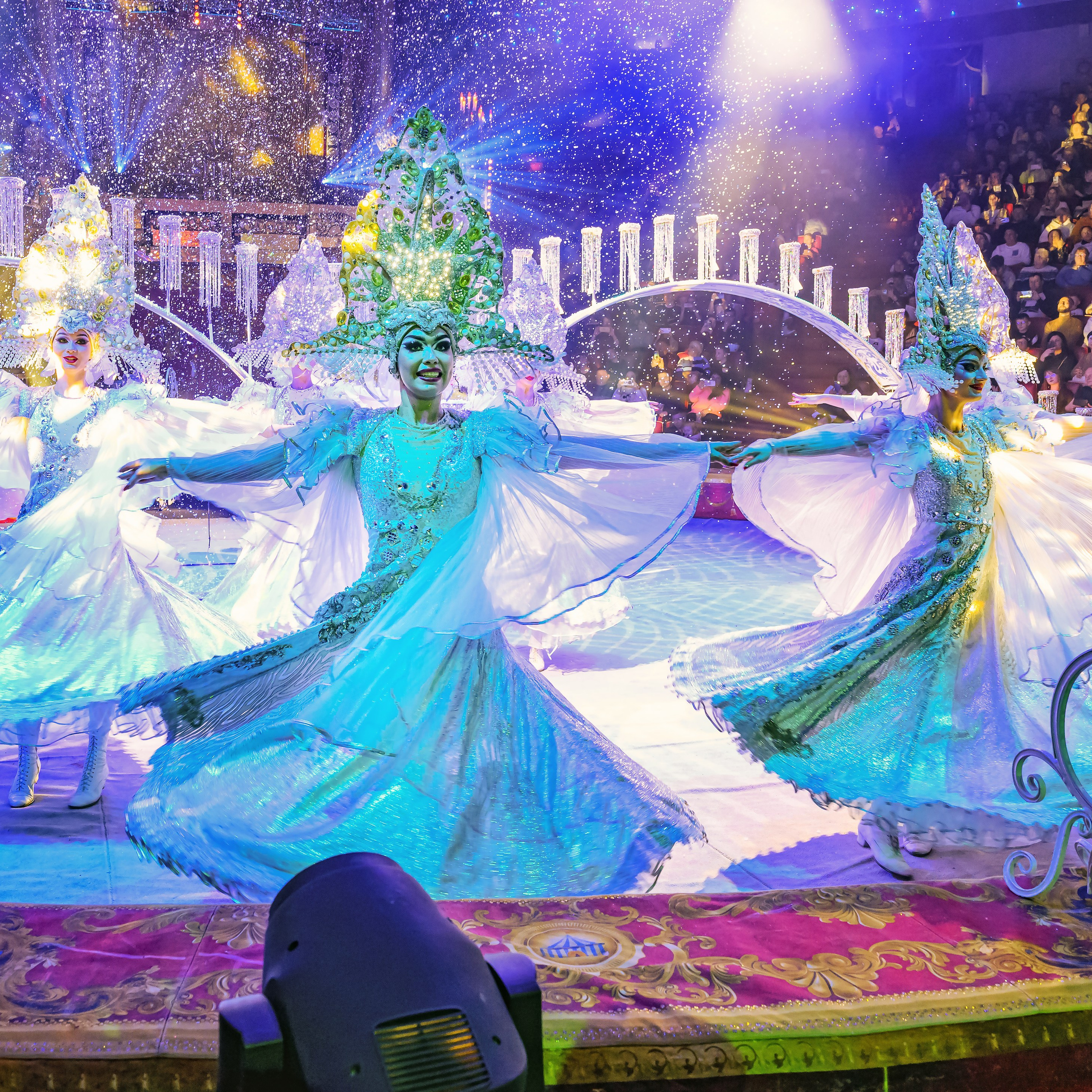 Шоу «Королевский цирк». Фотограф Андрей Пухов (Jazz)