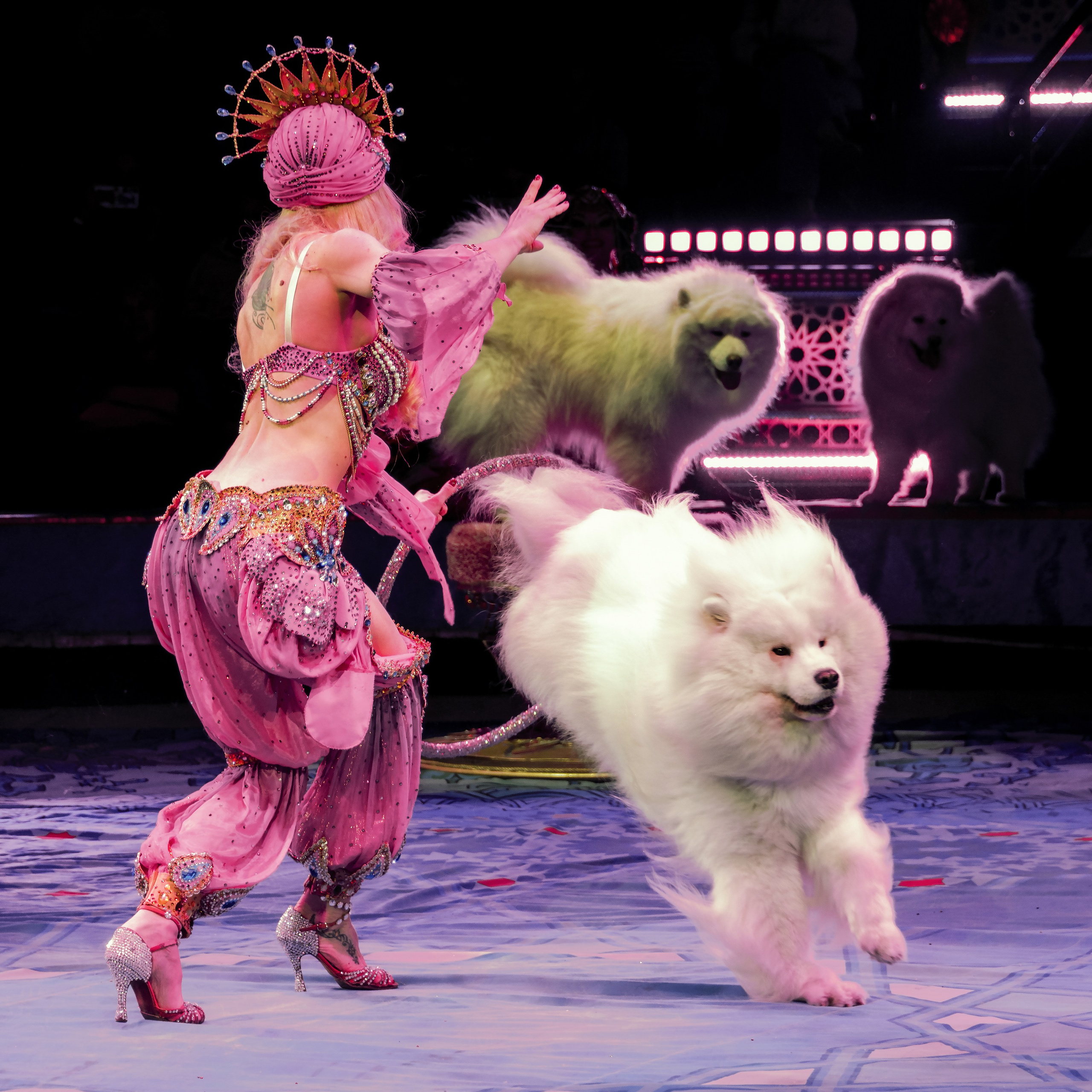 Песчаная сказка Гии Эрадзе — волшебное шоу 🎪, которое должен увидеть каждый, кто ценит красоту🌹, талант 🎭 и умение мечтать 💫. Цирковой фотограф Андрей Пухов (Jazz)