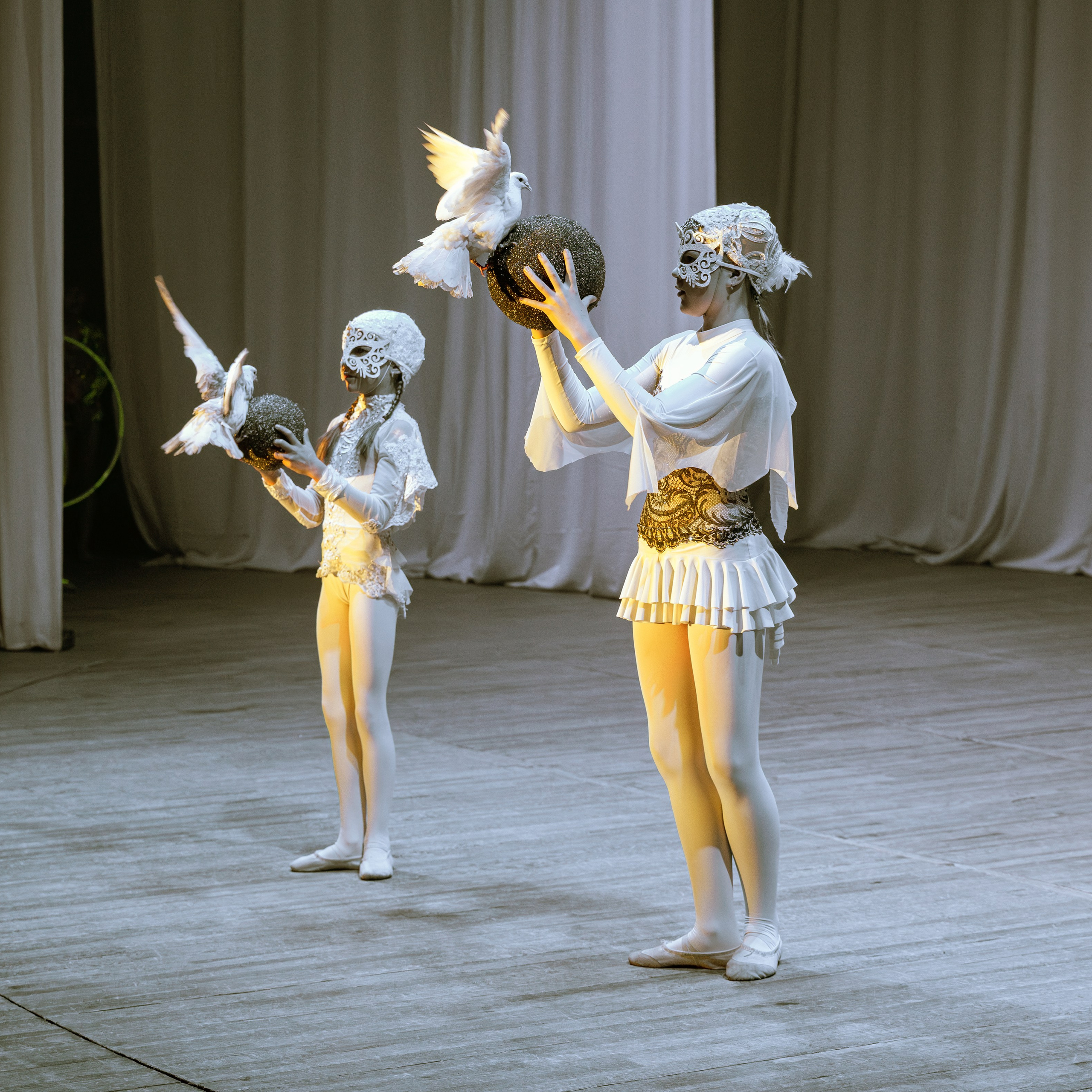 Народный коллектив, цирк «Юность» ДК ГАЗ, г. Нижний Новгород 👏. Фотограф Андрей Пухов (Jazz)