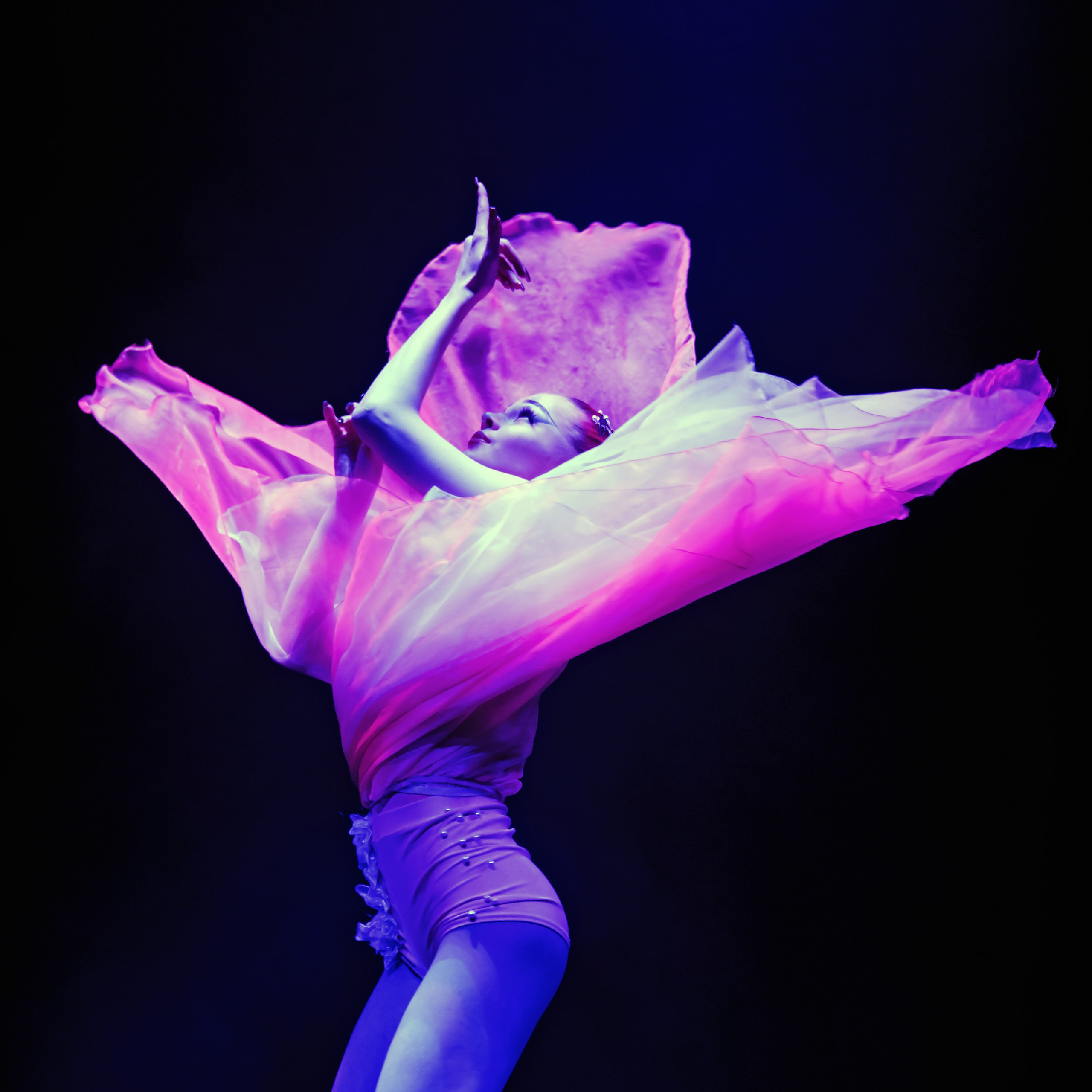 Вечное искусство удивлять: Королевский цирк Гии Эрадзе 👑 Роскошь здесь в каждой детали 💫✨⭐. Фотограф Андрей Пухов (Jazz)