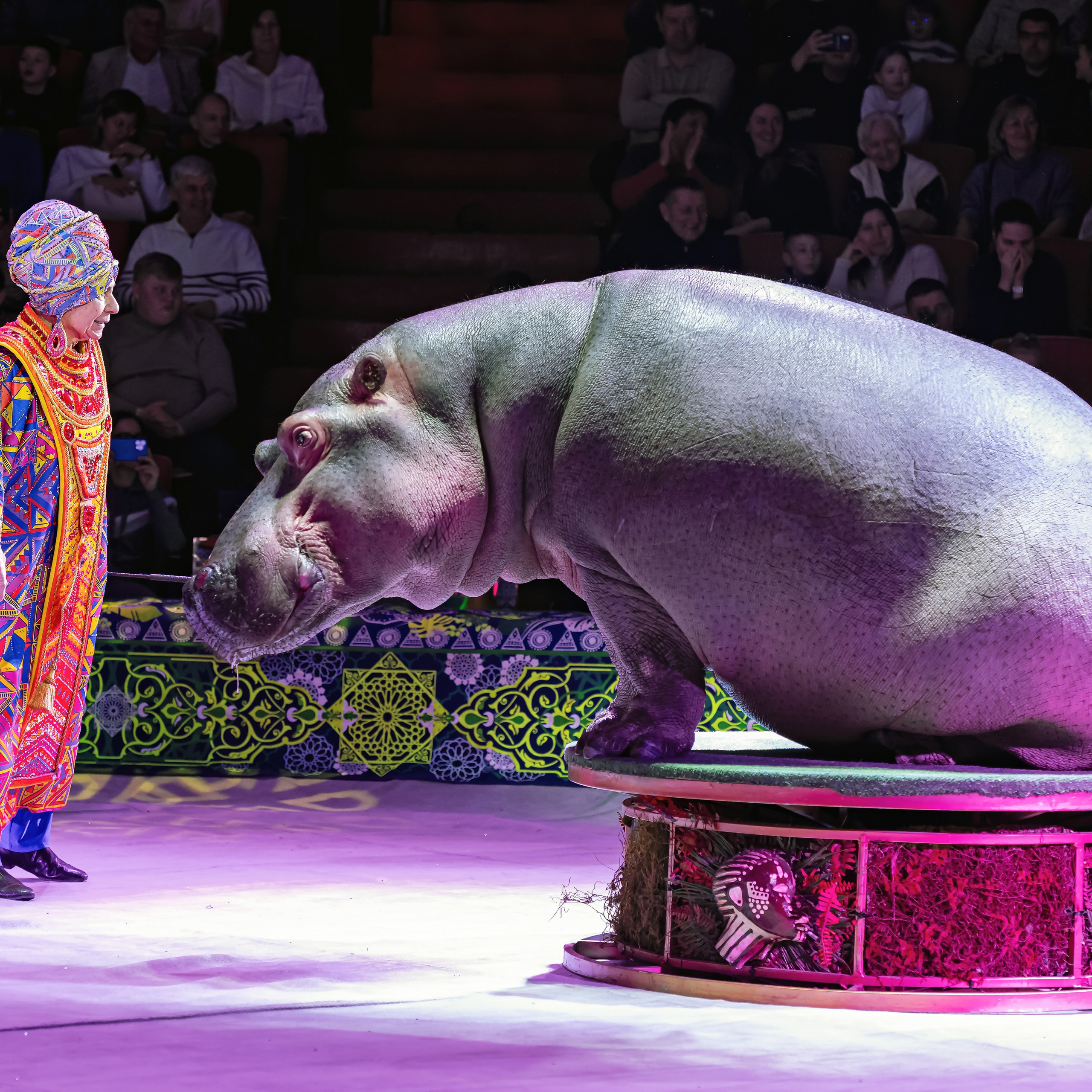 Песчаная сказка — Нижегородский Государственный Цирк (Премьера). Цирковой фотограф Андрей Пухов (Jazz)