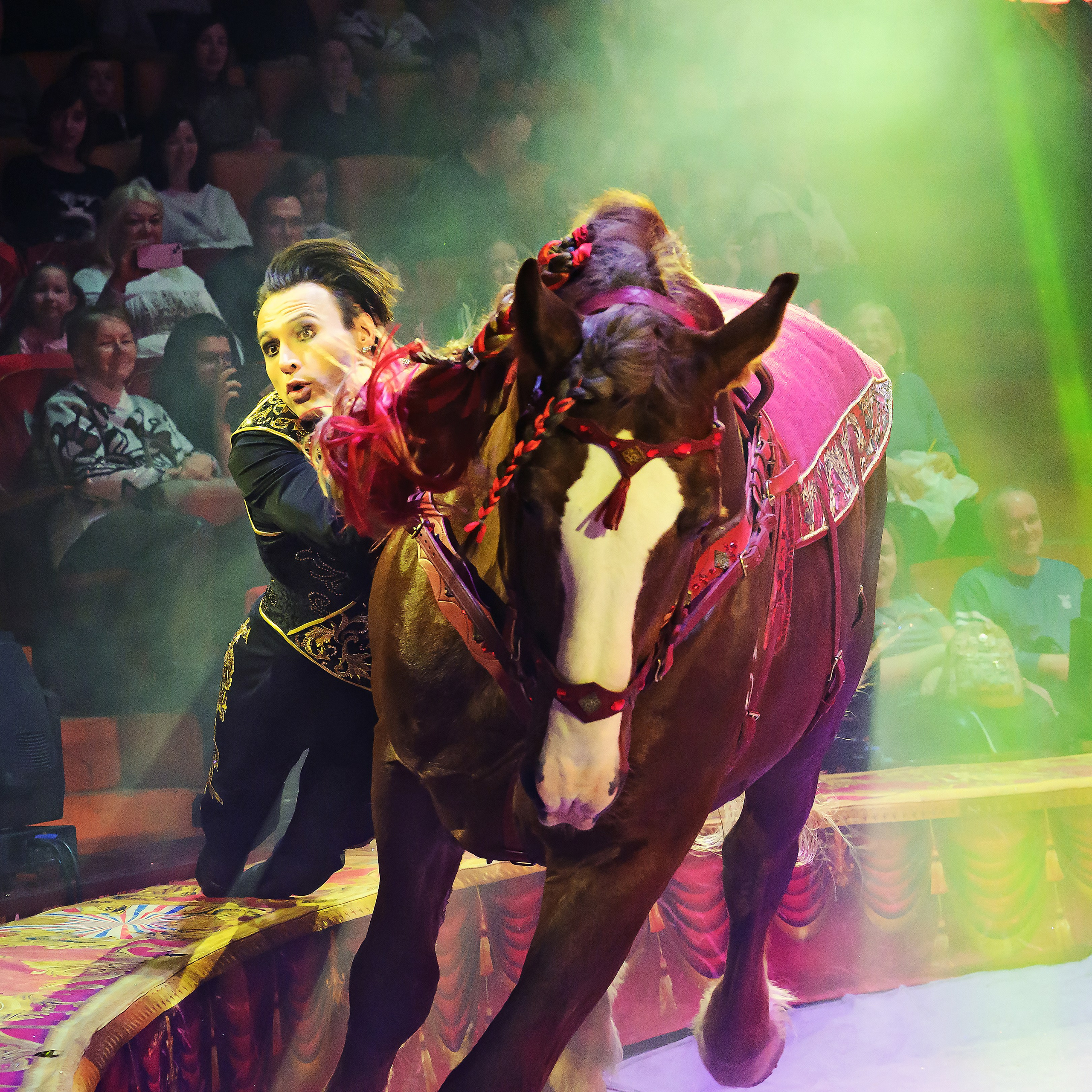 Royal Circus (новые номера). Фотограф Андрей Пухов (Jazz)