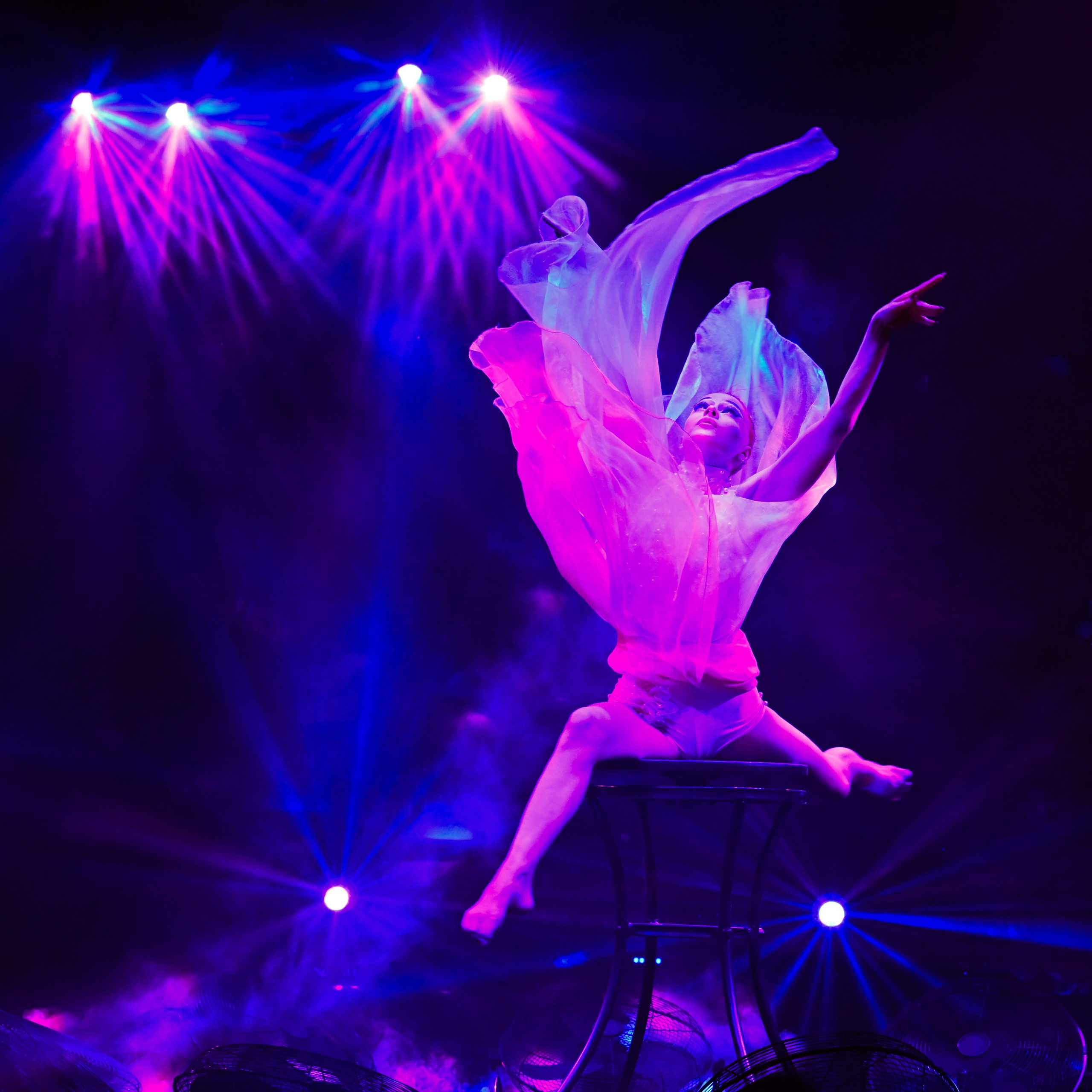 Шоу «Королевский цирк». Фотограф Андрей Пухов (Jazz)