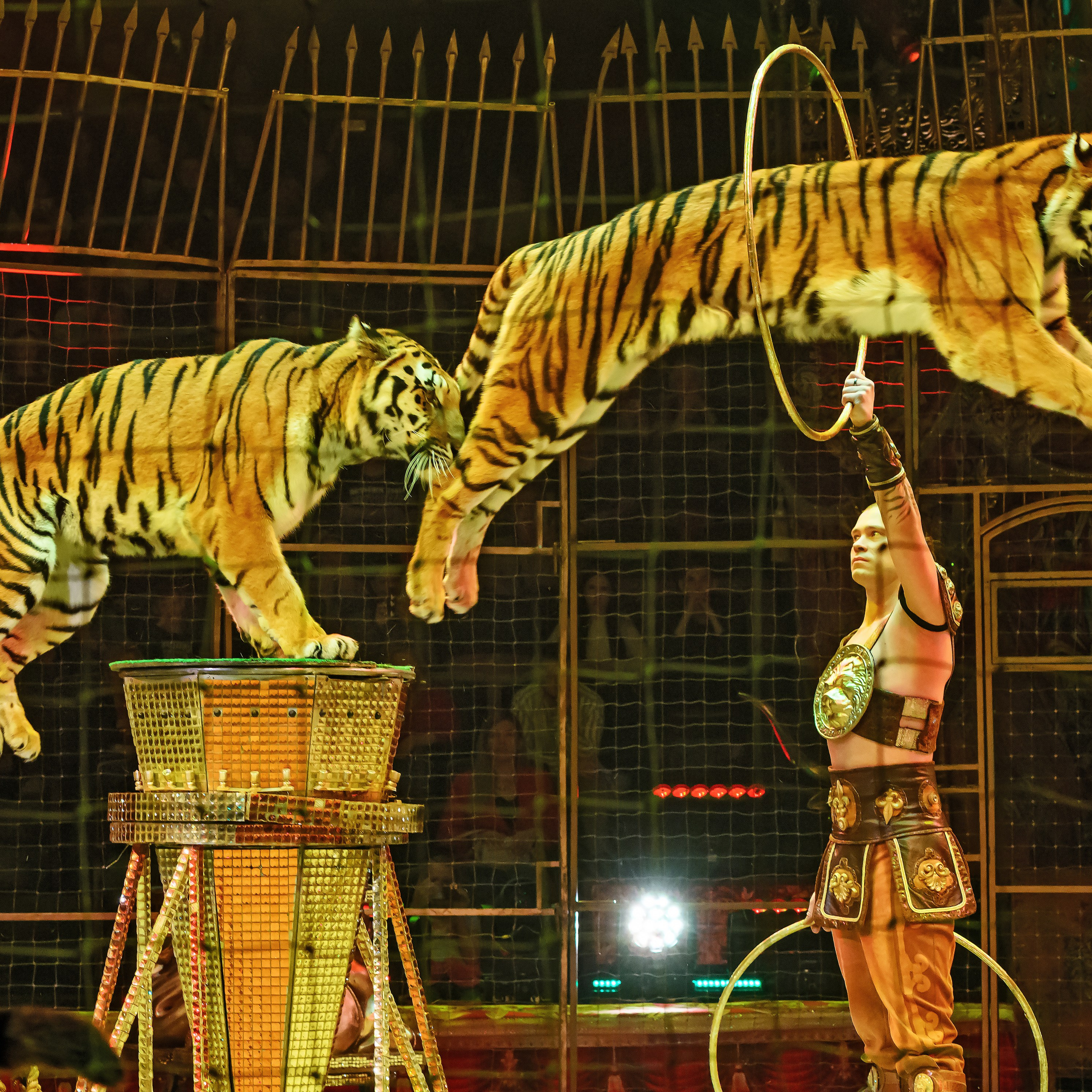 Шоу «Королевский цирк». Фотограф Андрей Пухов (Jazz)