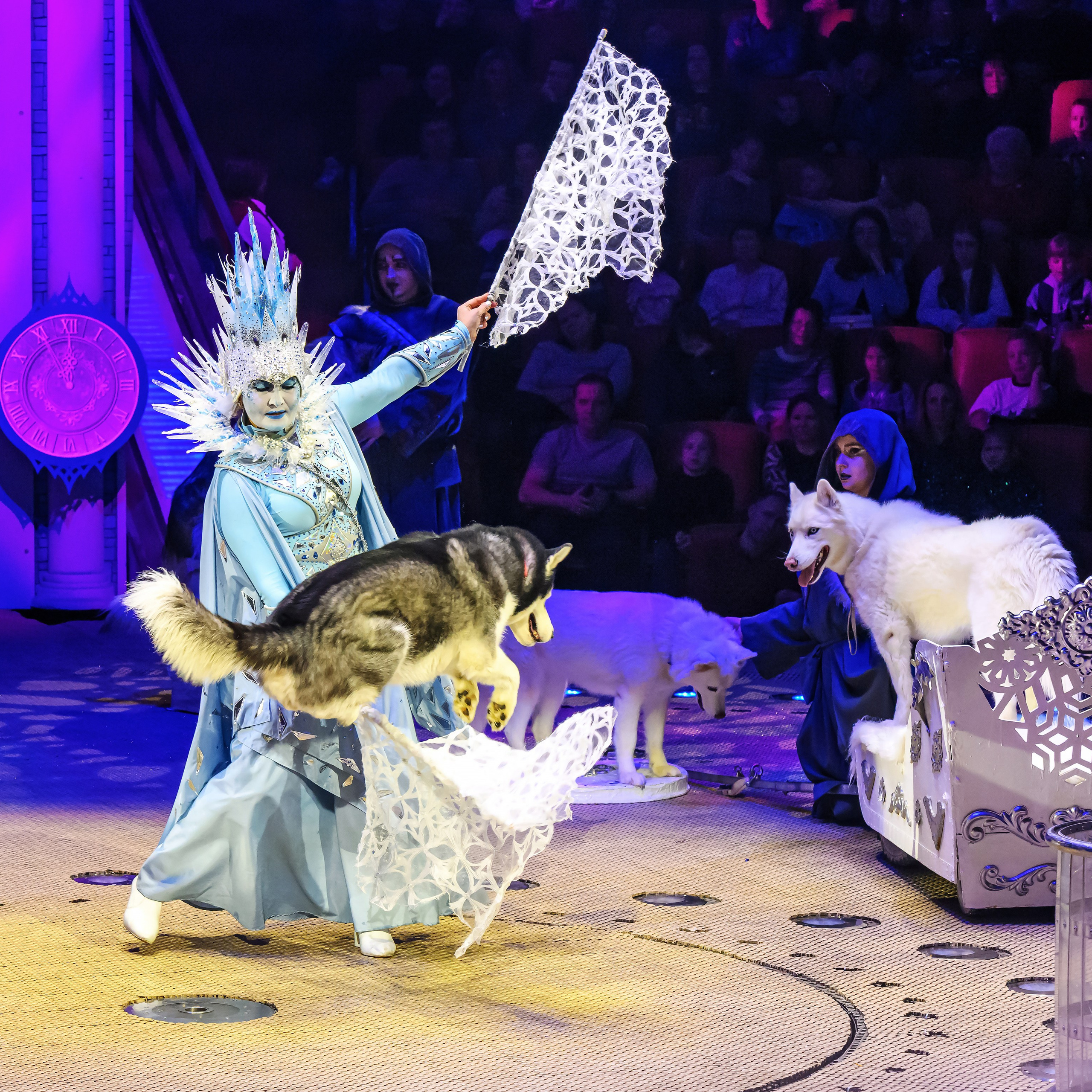 «13 месяцев. Шоу ледяных фонтанов»❄💙. Фотограф Андрей Пухов (Jazz)