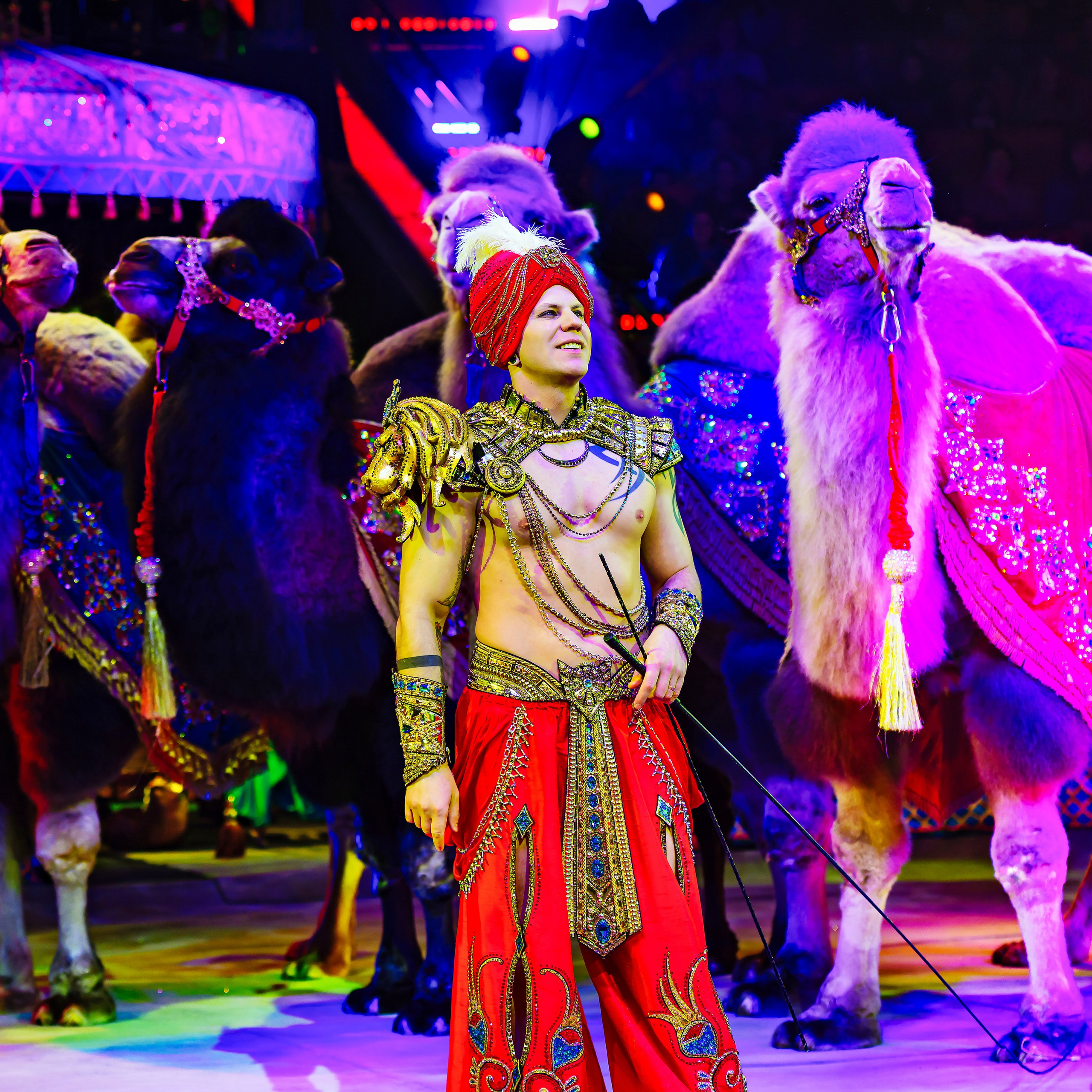 Песчаная сказка — Нижегородский Государственный Цирк (Премьера). Цирковой фотограф Андрей Пухов (Jazz)