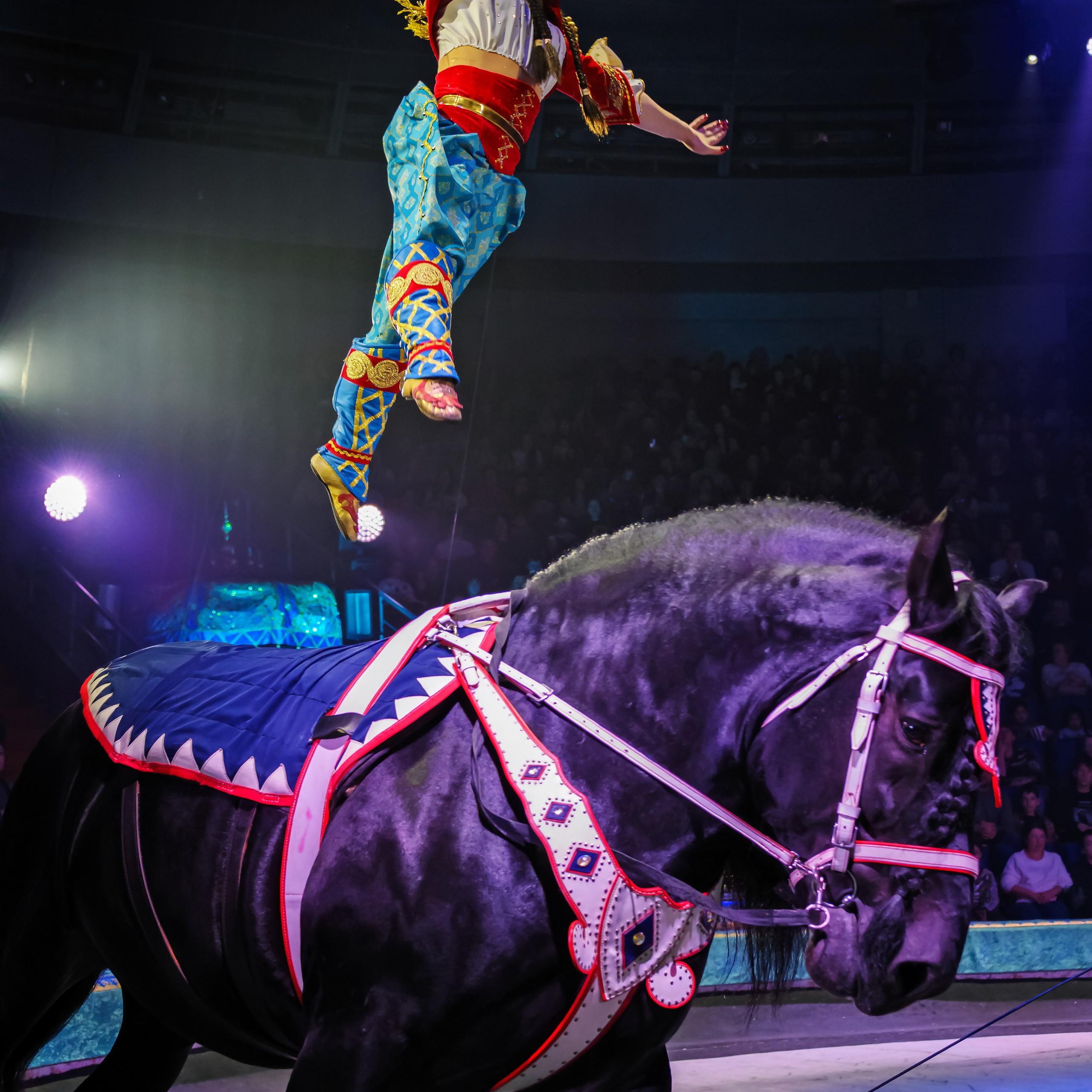Песчаная сказка Гии Эрадзе — волшебное шоу 🎪, которое должен увидеть каждый, кто ценит красоту🌹, талант 🎭 и умение мечтать 💫. Цирковой фотограф Андрей Пухов (Jazz)