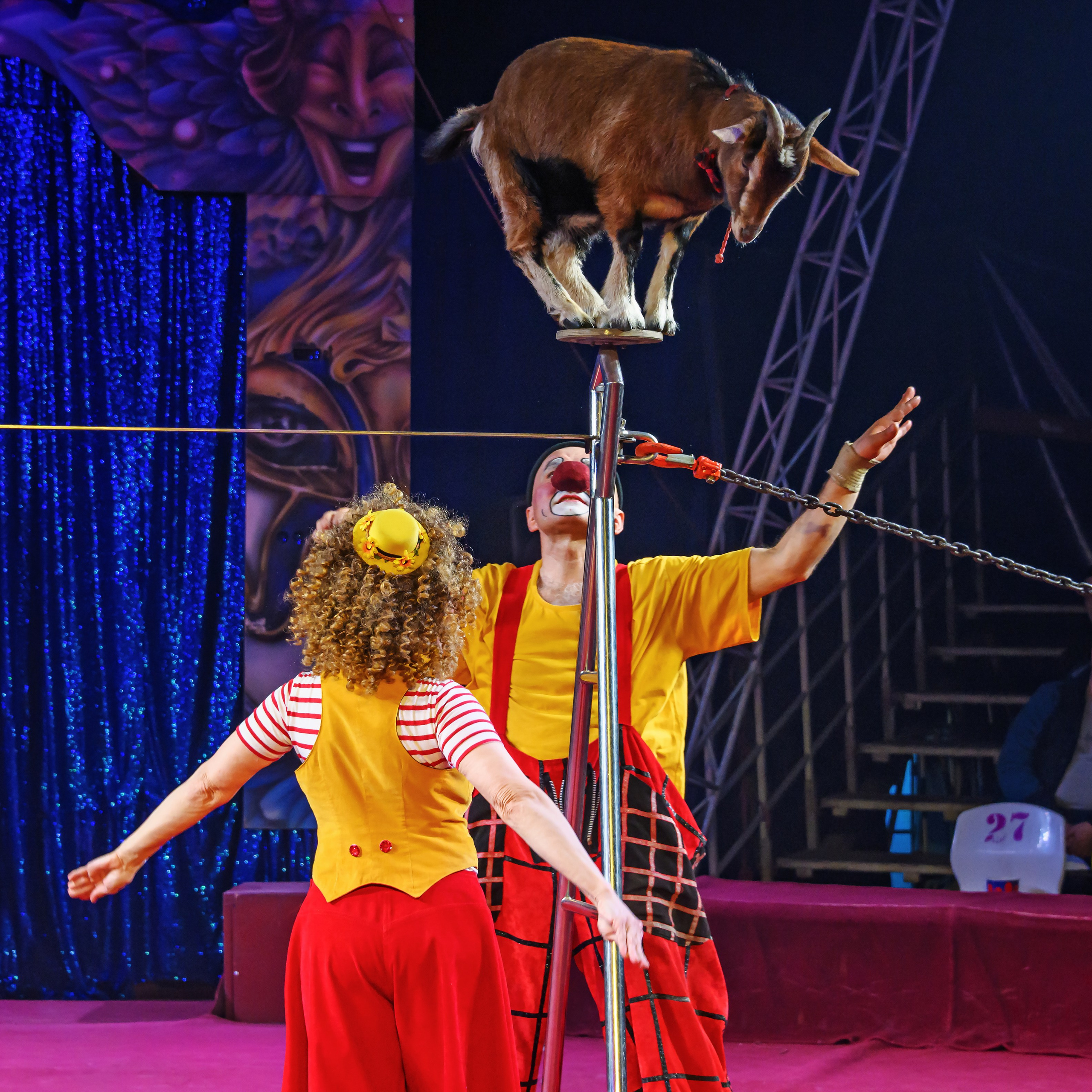 Международный цирк"HAPPY CIRCUS». Фотограф Андрей Пухов (Jazz)