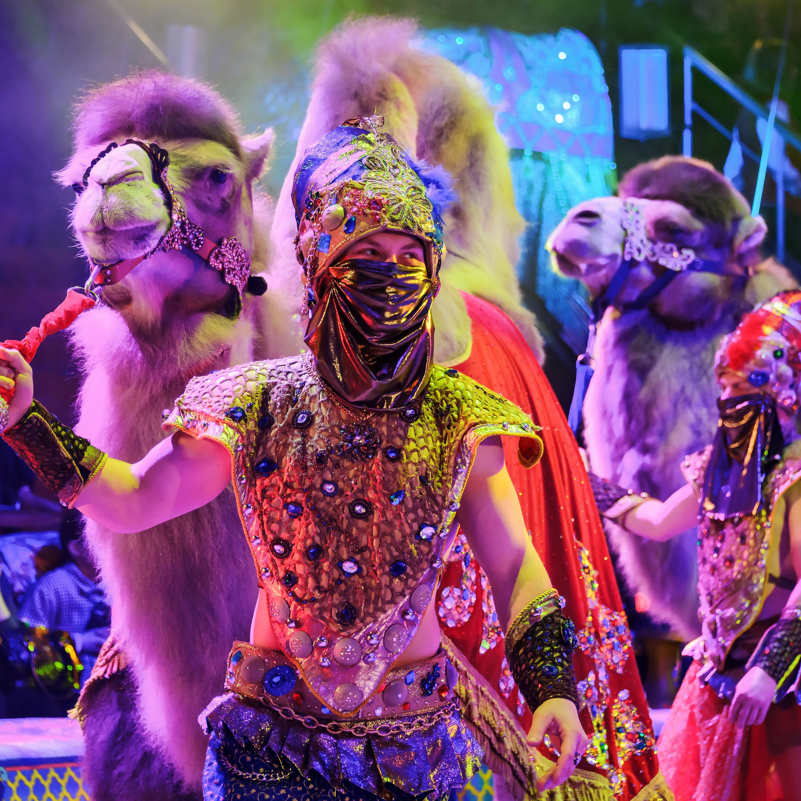 Песчаная сказка Гии Эрадзе — волшебное шоу 🎪, которое должен увидеть каждый, кто ценит красоту🌹, талант 🎭 и умение мечтать 💫. Цирковой фотограф Андрей Пухов (Jazz)