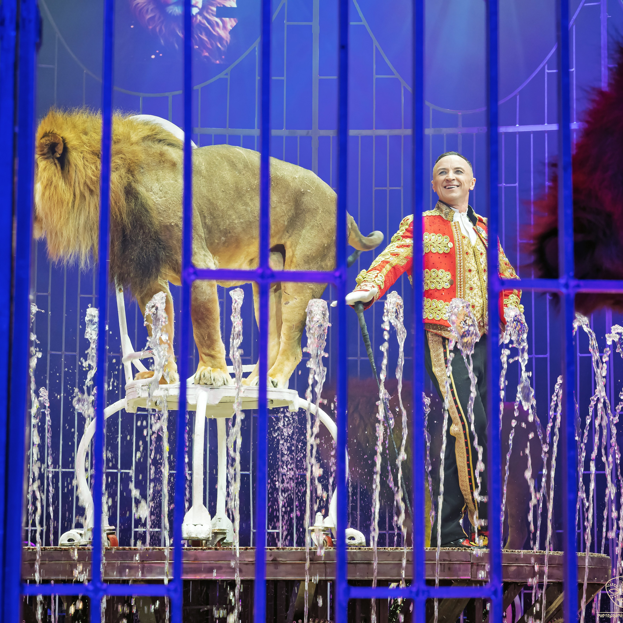 Шоу фонтанов «Принц цирка» 🎪 09.11.2024. Фотограф Андрей Пухов (Jazz)