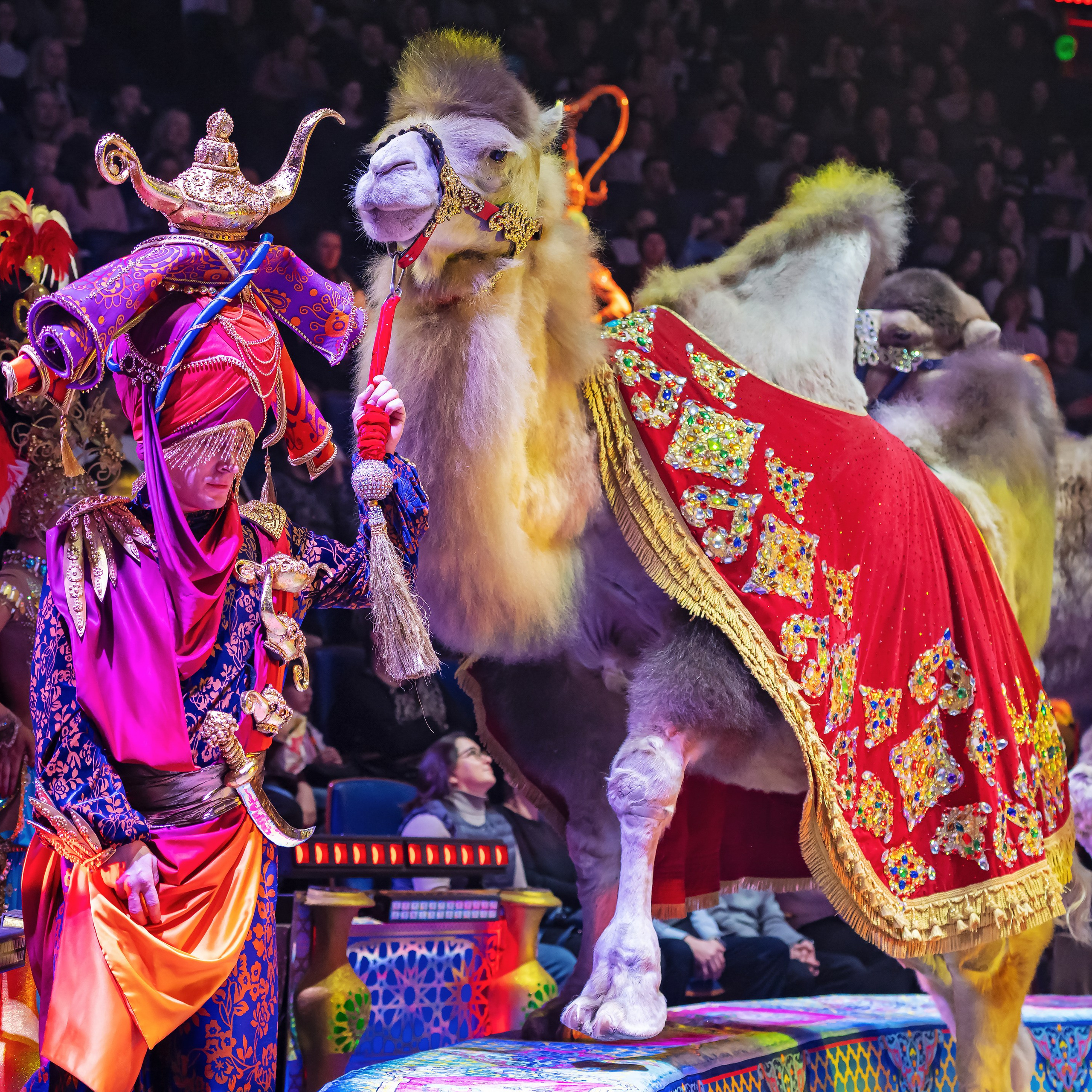 Песчаная сказка — Нижегородский Государственный Цирк (Премьера). Цирковой фотограф Андрей Пухов (Jazz)