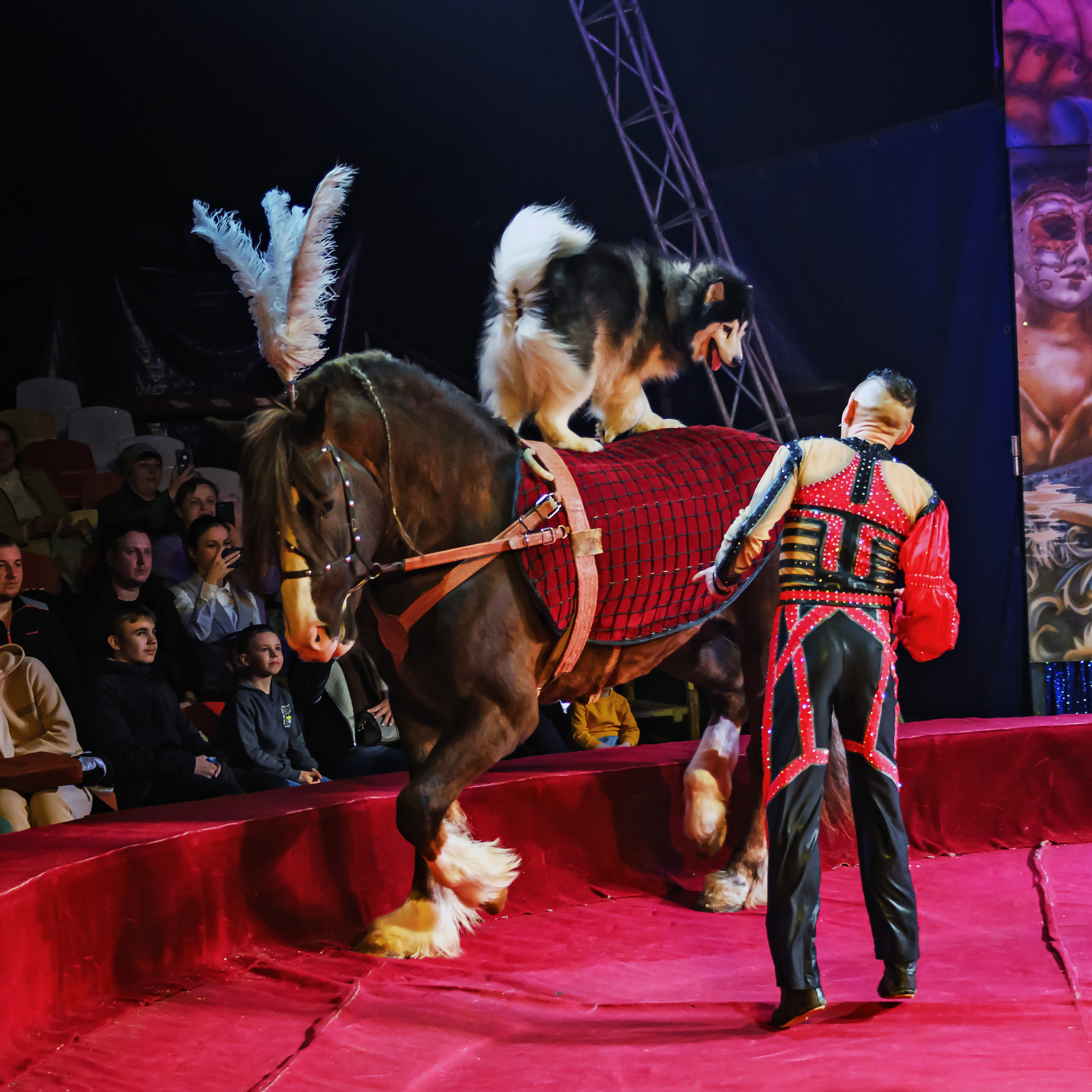 Международный цирк"HAPPY CIRCUS». Фотограф Андрей Пухов (Jazz)