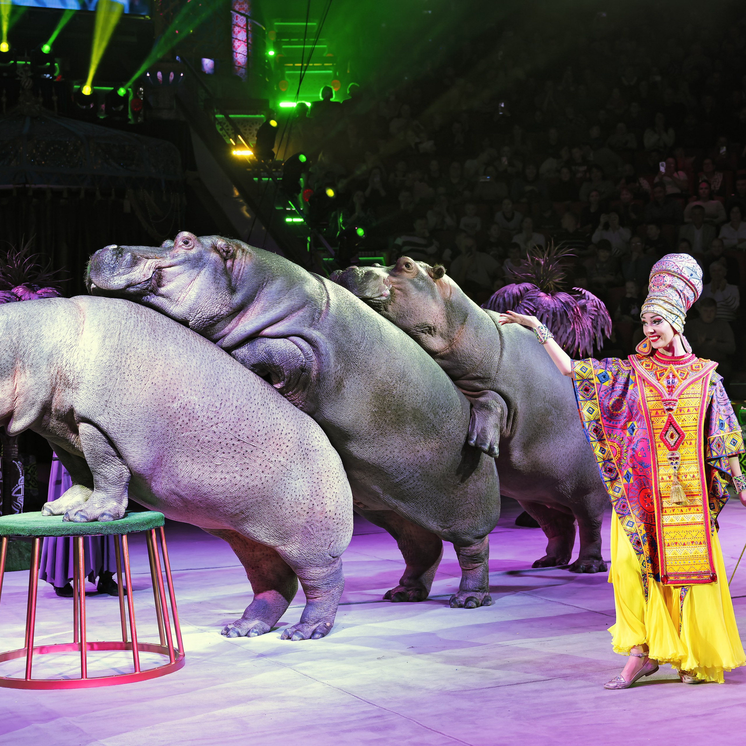 Песчаная сказка — Нижегородский Государственный Цирк (Премьера). Цирковой фотограф Андрей Пухов (Jazz)