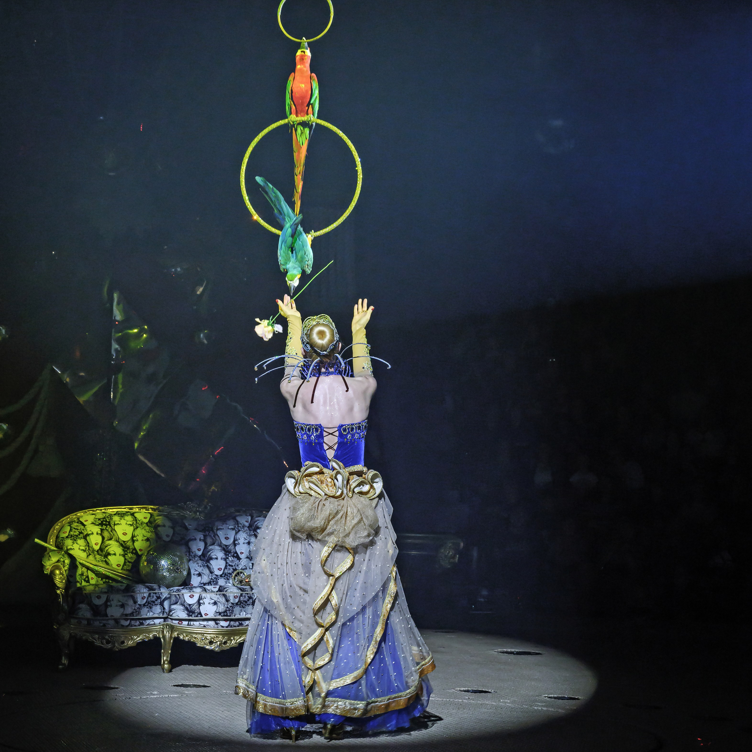 Шоу фонтанов «Принц цирка» 🎪 09.11.2024. Фотограф Андрей Пухов (Jazz)