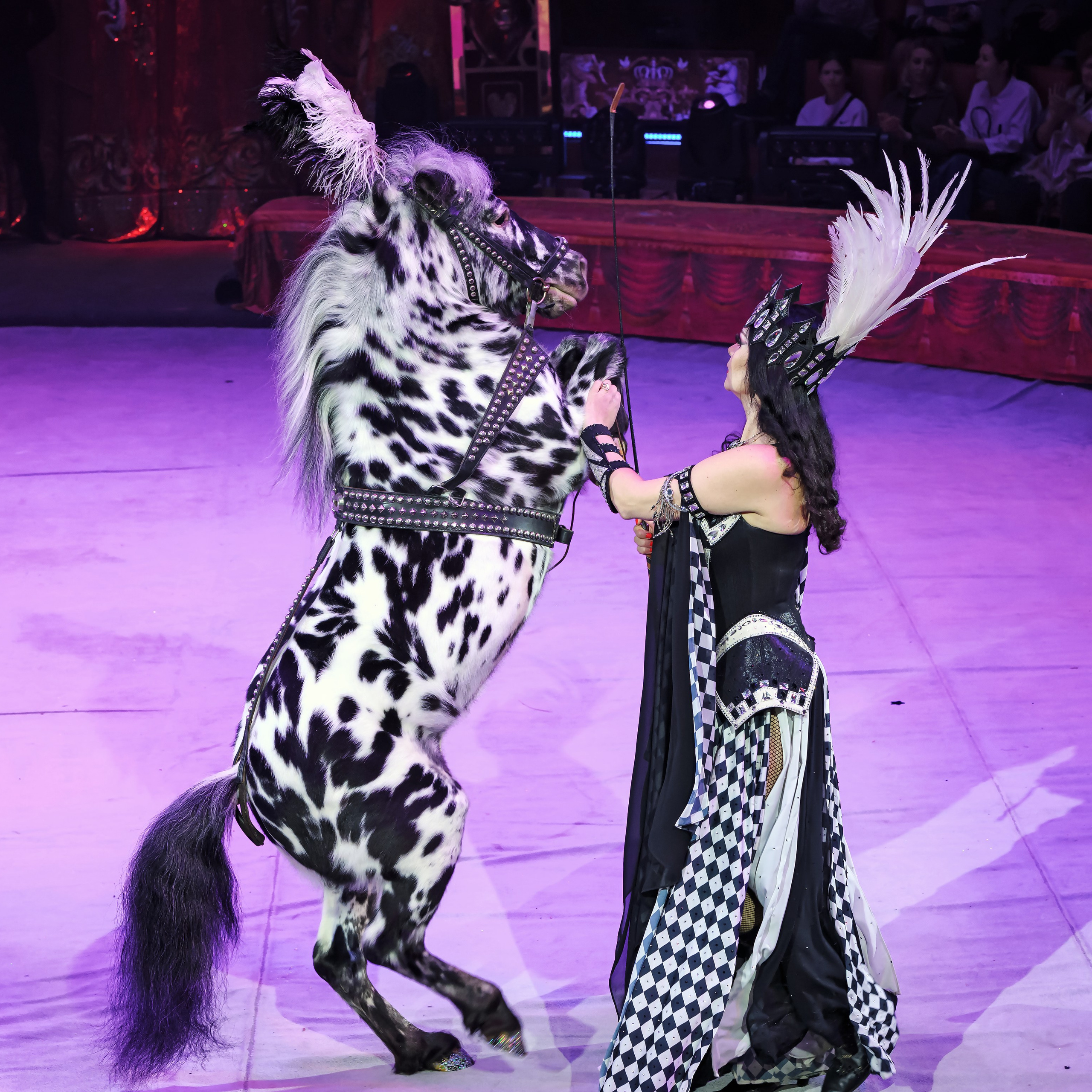 Королевский цирк ПРЕМЬЕРА НН. Фотограф Андрей Пухов (Jazz)