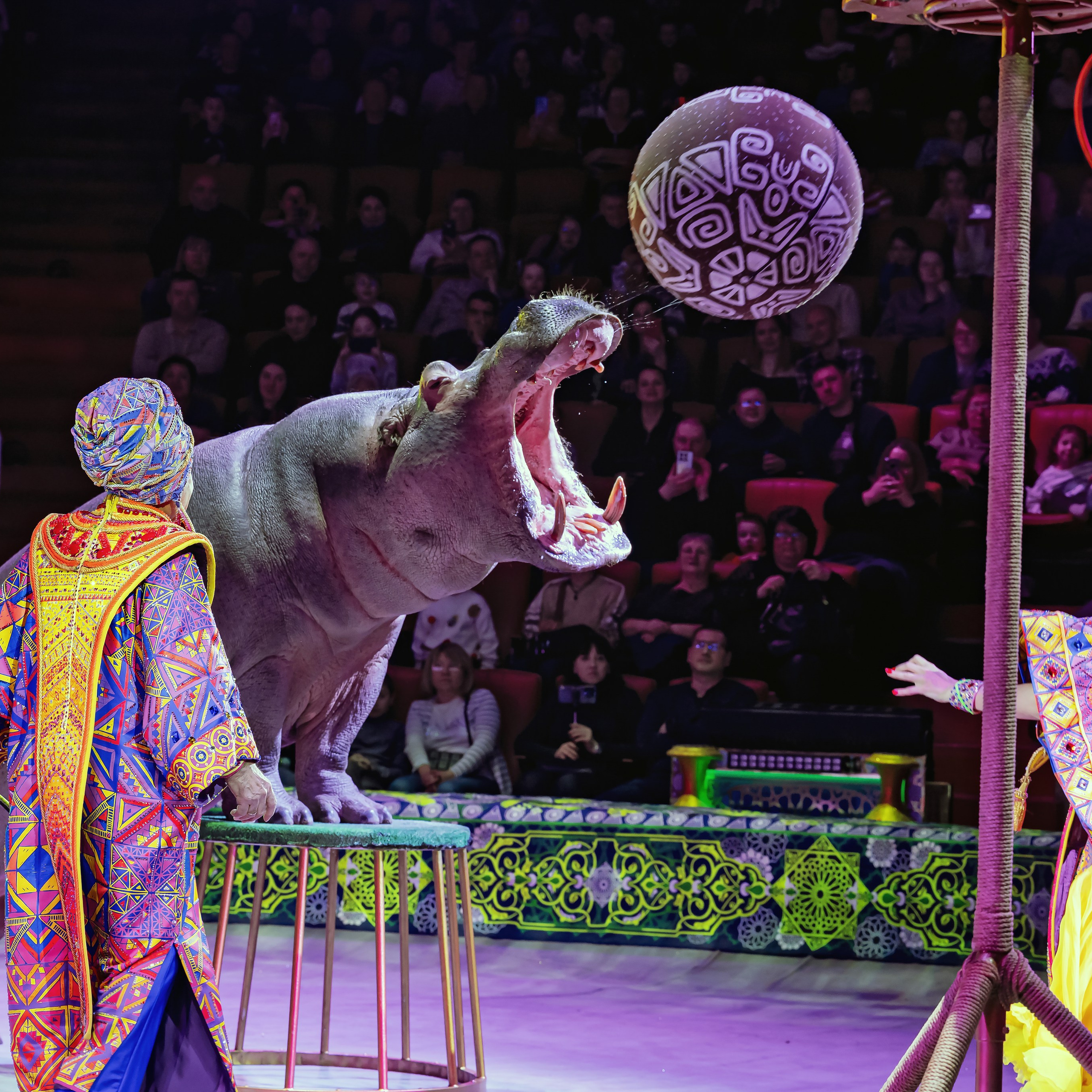 Песчаная сказка — Нижегородский Государственный Цирк (Премьера). Цирковой фотограф Андрей Пухов (Jazz)