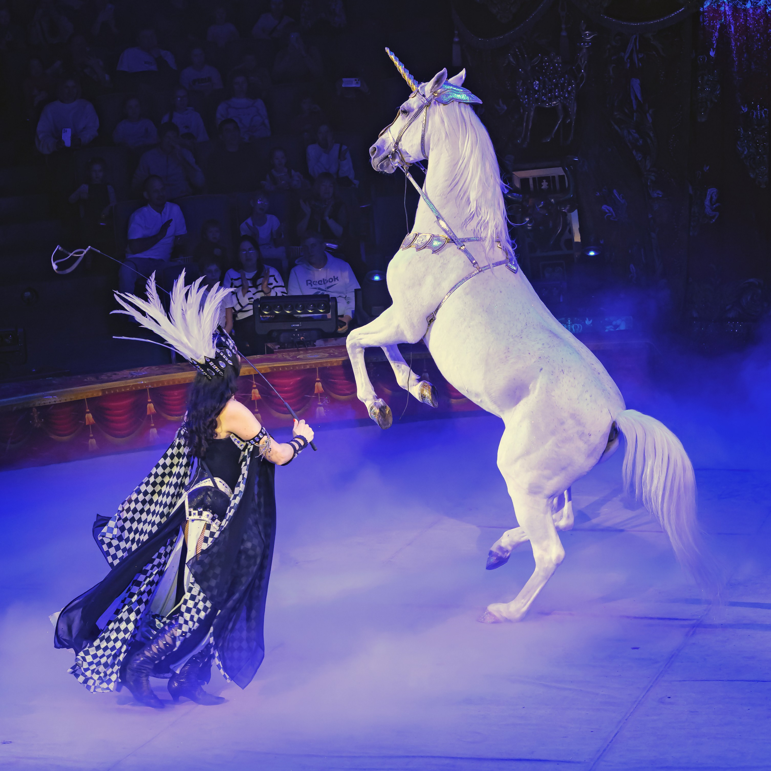 Королевский цирк ПРЕМЬЕРА НН. Фотограф Андрей Пухов (Jazz)