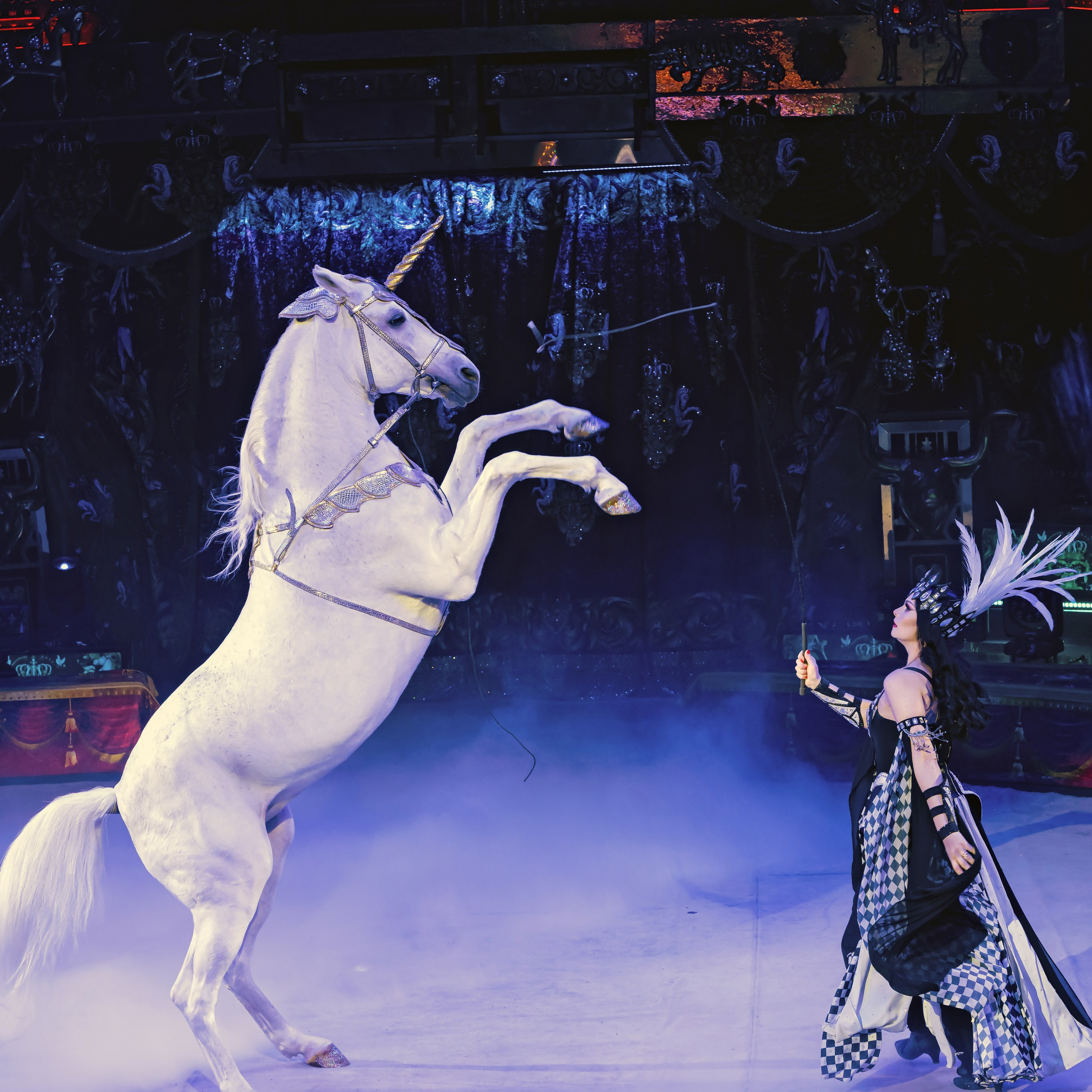 Королевский цирк ПРЕМЬЕРА НН. Фотограф Андрей Пухов (Jazz)