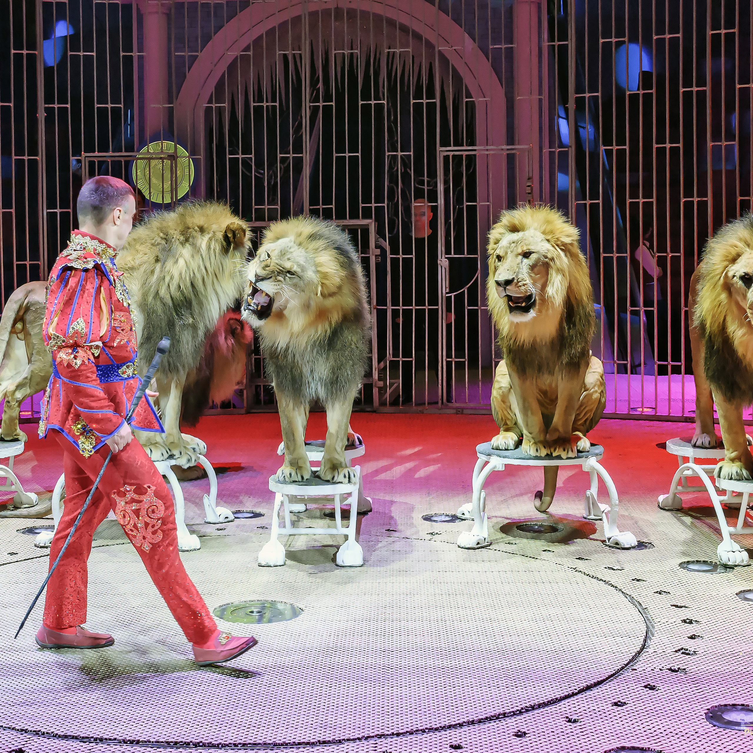 «13 месяцев. Шоу ледяных фонтанов»❄💙. Фотограф Андрей Пухов (Jazz)