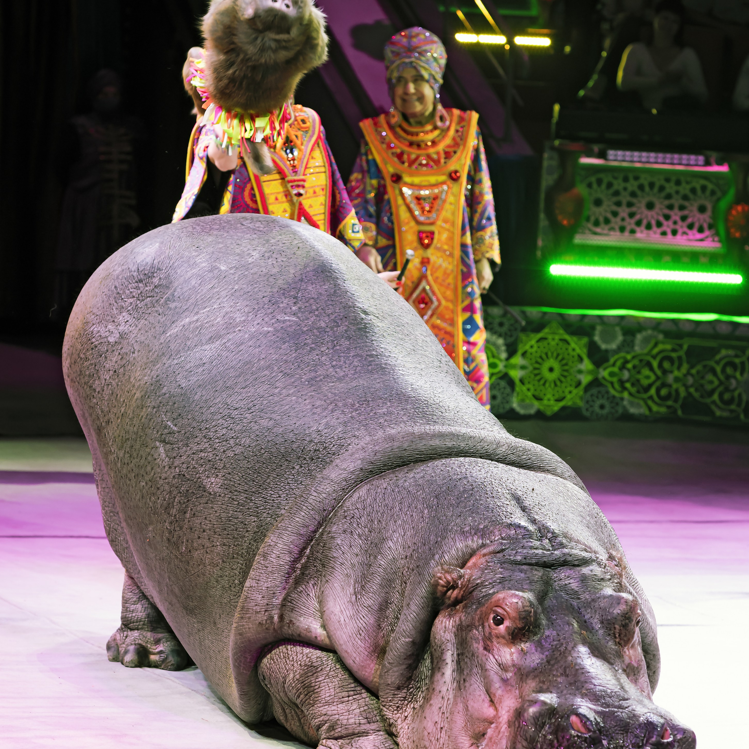 Песчаная сказка — Нижегородский Государственный Цирк (Премьера). Цирковой фотограф Андрей Пухов (Jazz)