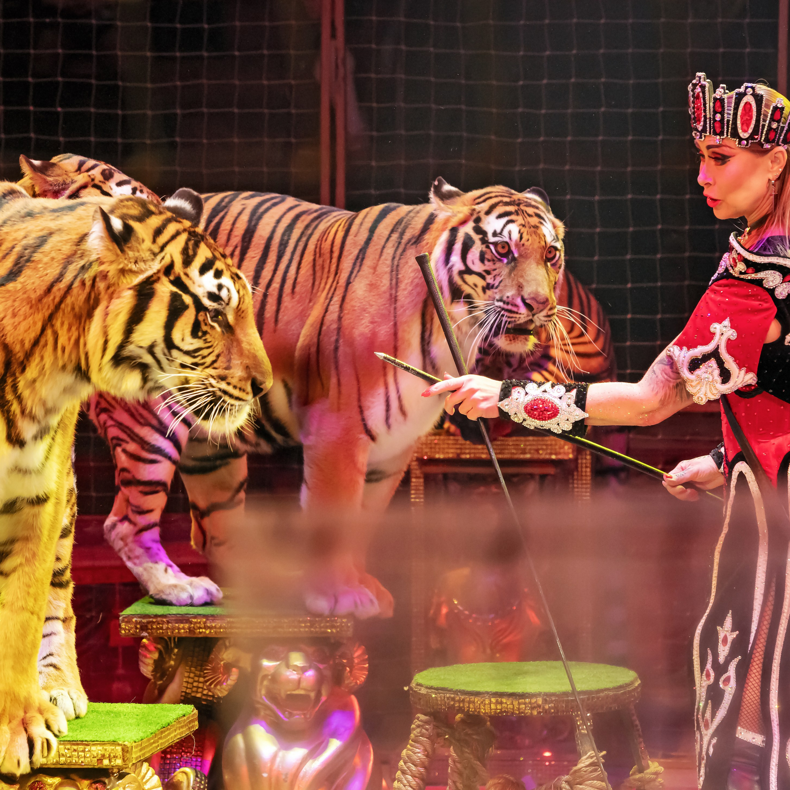 ГРАНДИОЗНОЕ ЦИРКОВОЕ ШОУ ЗАСЛУЖЕННОГО АРТИСТА РОССИИ ГИИ ЭРАДЗЕ. Фотограф Андрей Пухов (Jazz)