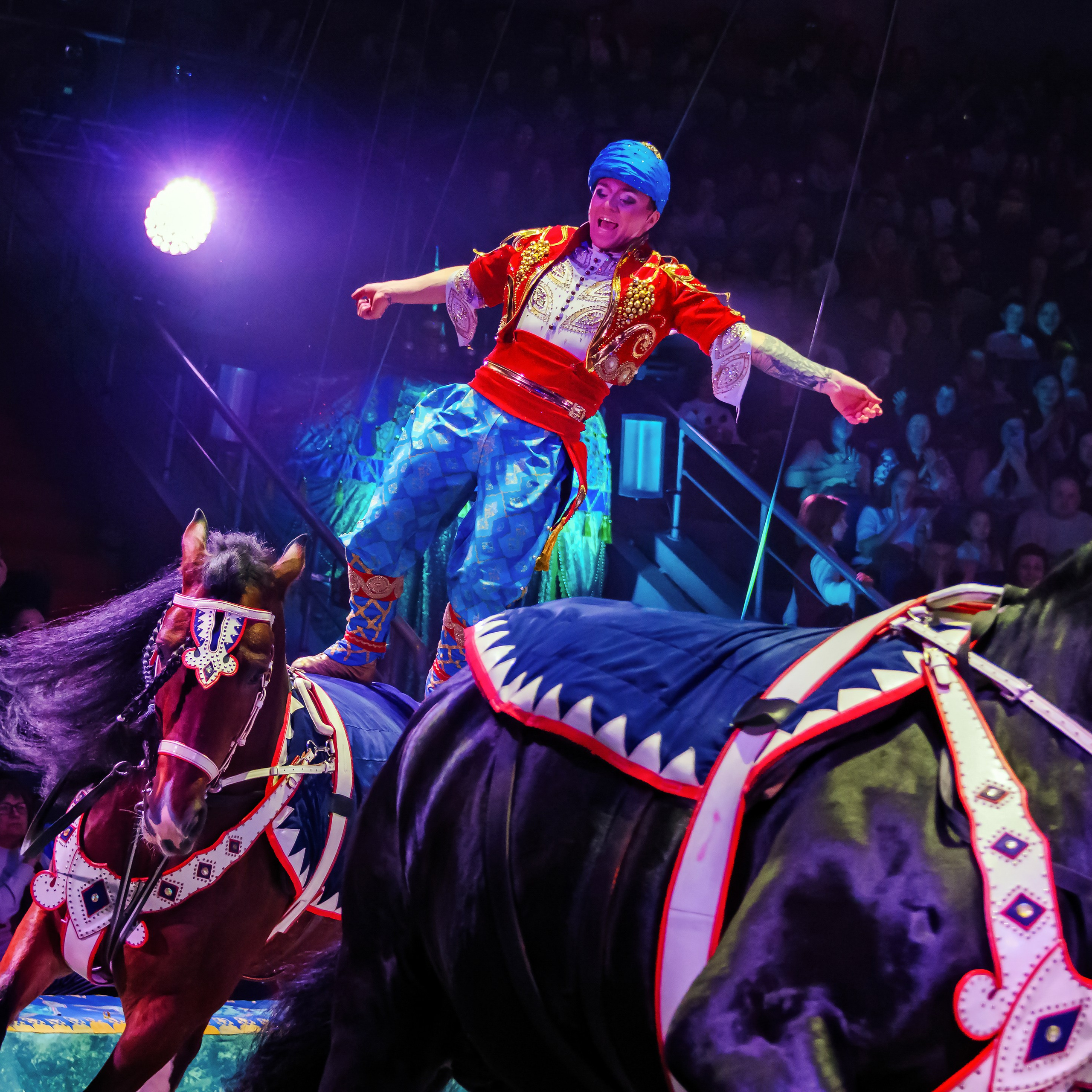 Песчаная сказка Гии Эрадзе — волшебное шоу 🎪, которое должен увидеть каждый, кто ценит красоту🌹, талант 🎭 и умение мечтать 💫. Цирковой фотограф Андрей Пухов (Jazz)