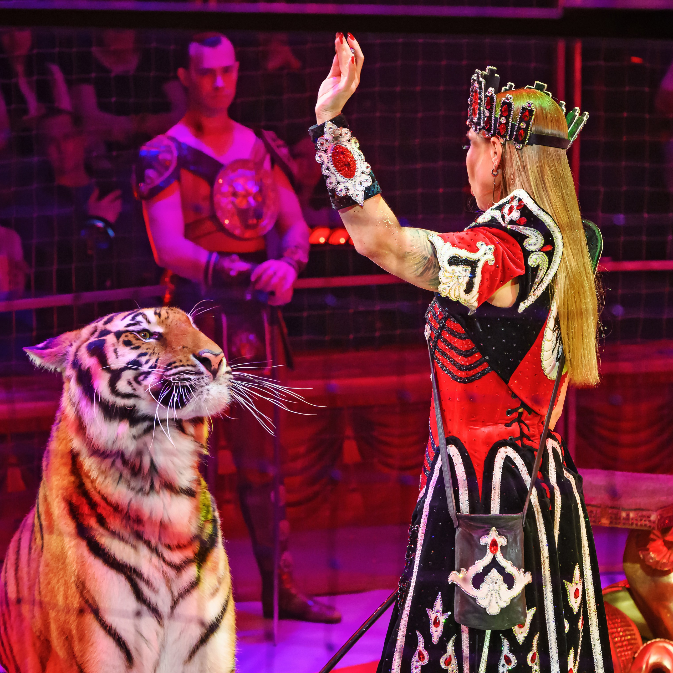 Королевский цирк ПРЕМЬЕРА НН. Фотограф Андрей Пухов (Jazz)