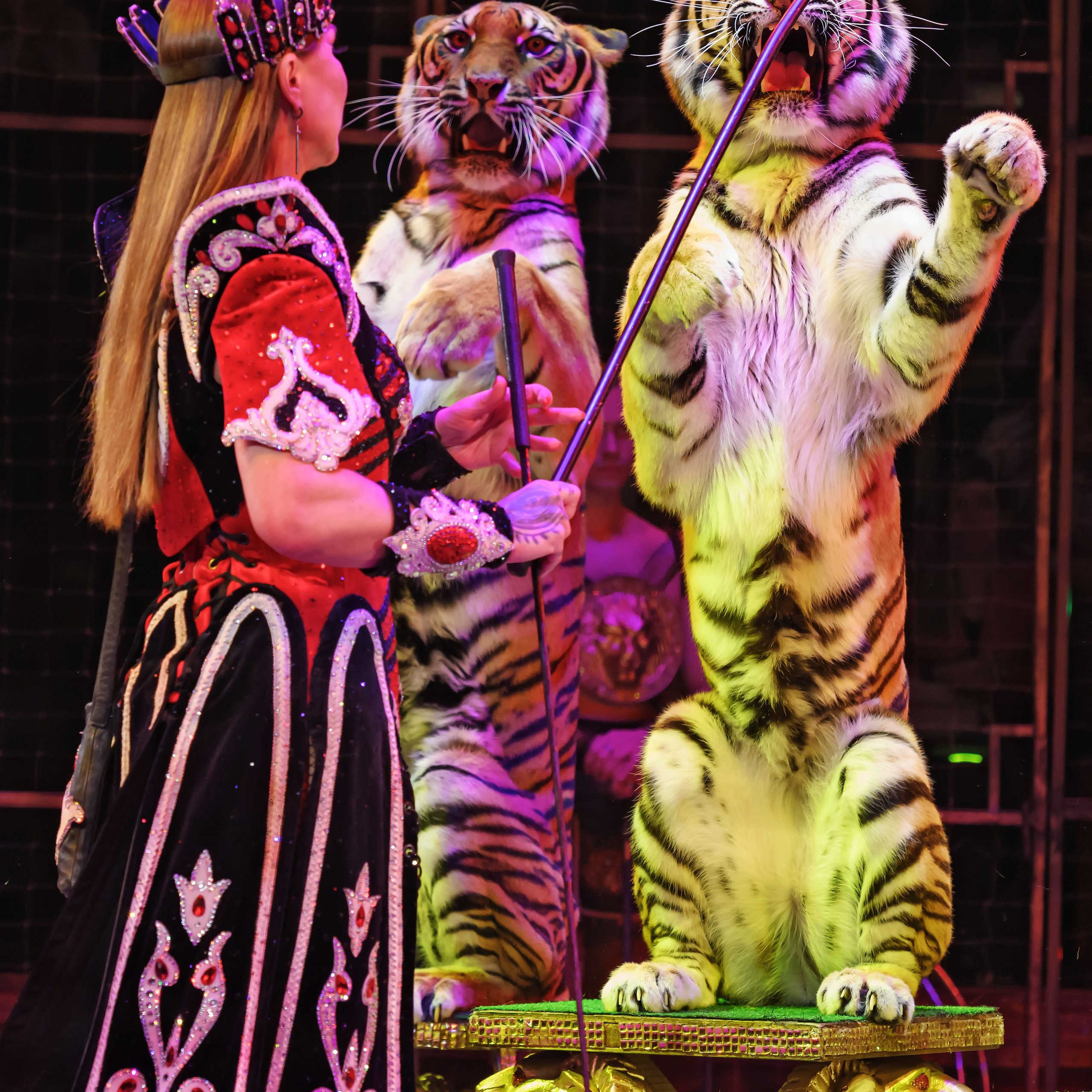 Шоу «Королевский цирк». Фотограф Андрей Пухов (Jazz)