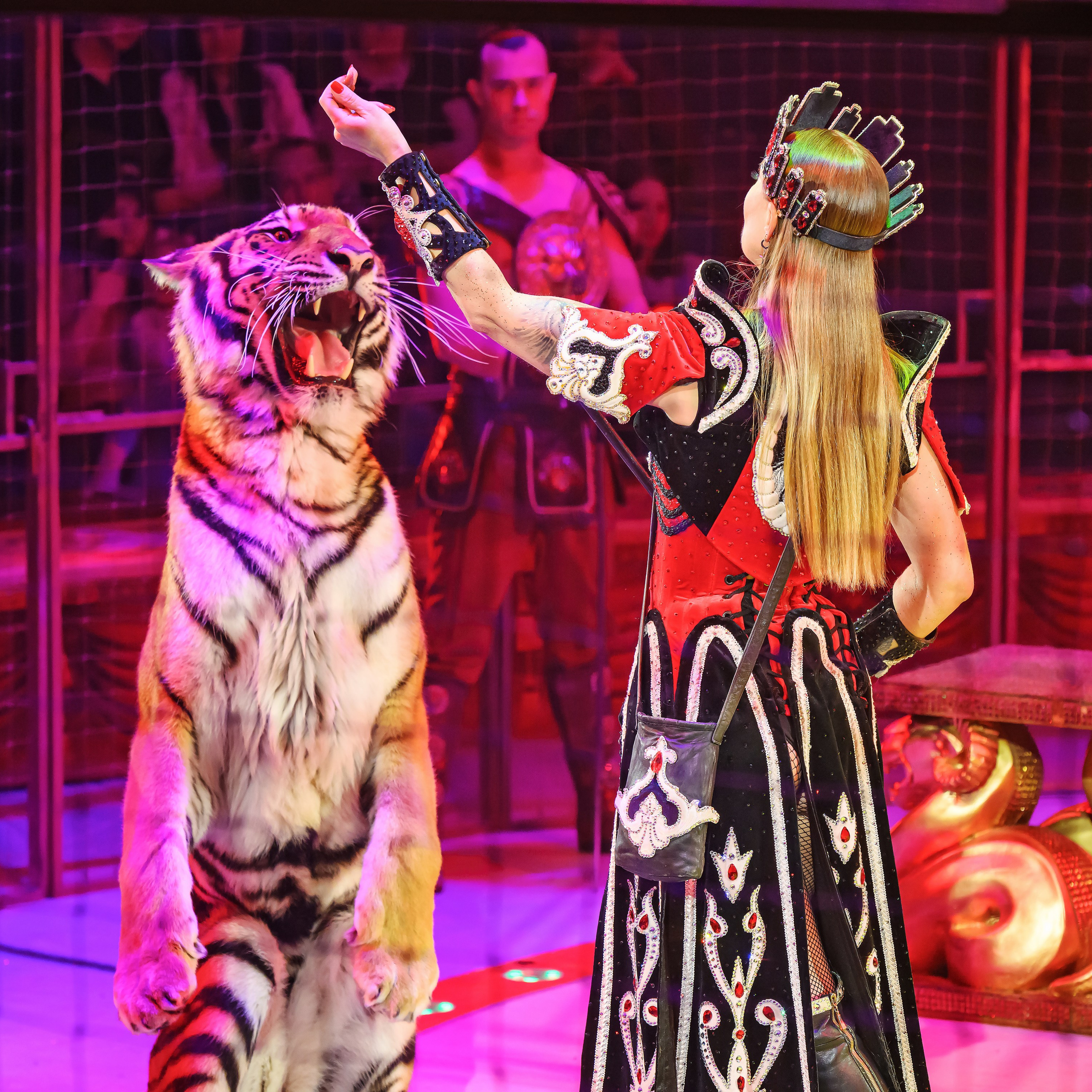 Королевский цирк ПРЕМЬЕРА НН. Фотограф Андрей Пухов (Jazz)