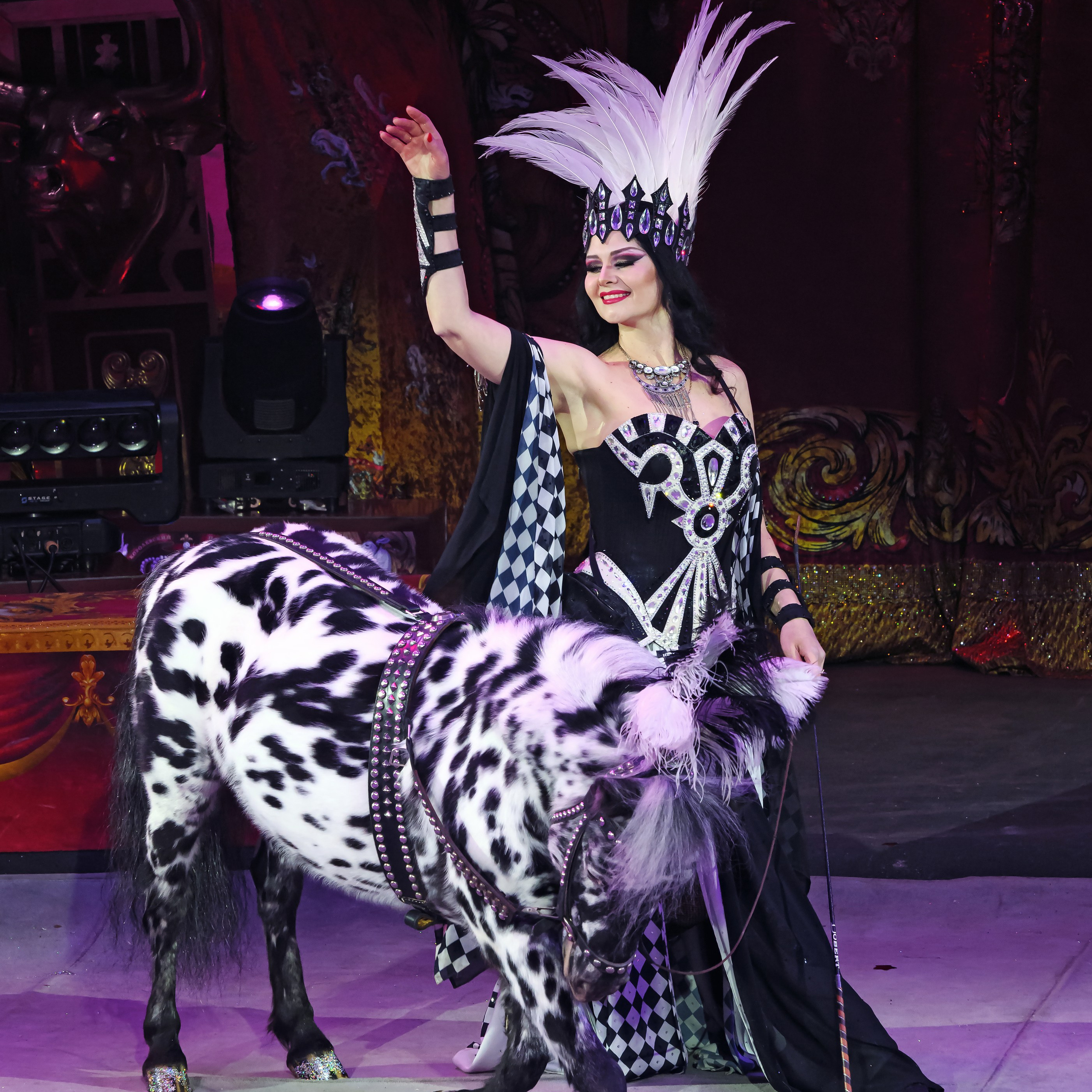 Королевский цирк ПРЕМЬЕРА НН. Фотограф Андрей Пухов (Jazz)