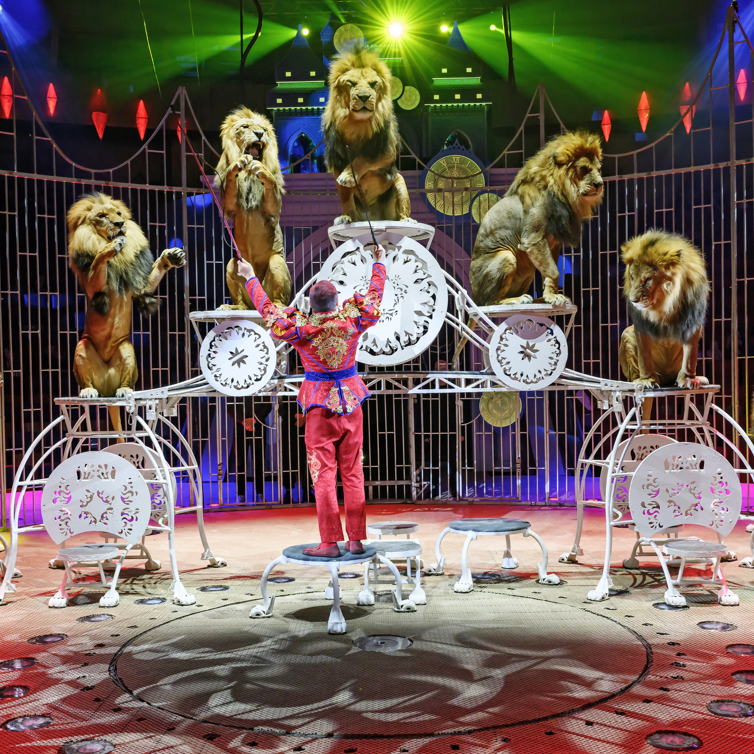 «13 месяцев. Шоу ледяных фонтанов»❄💙. Фотограф Андрей Пухов (Jazz)