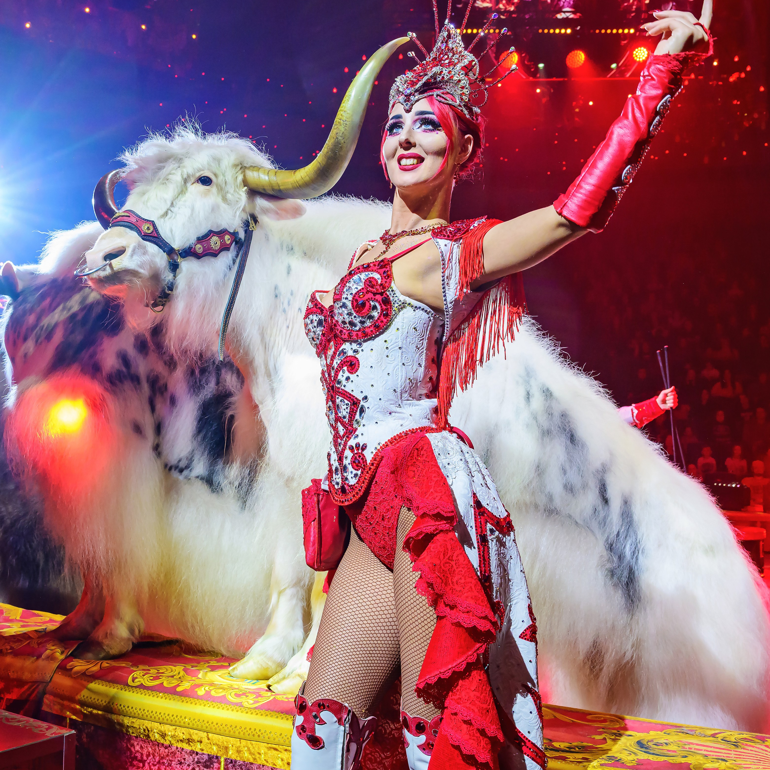 Royal Circus (новые номера). Фотограф Андрей Пухов (Jazz)