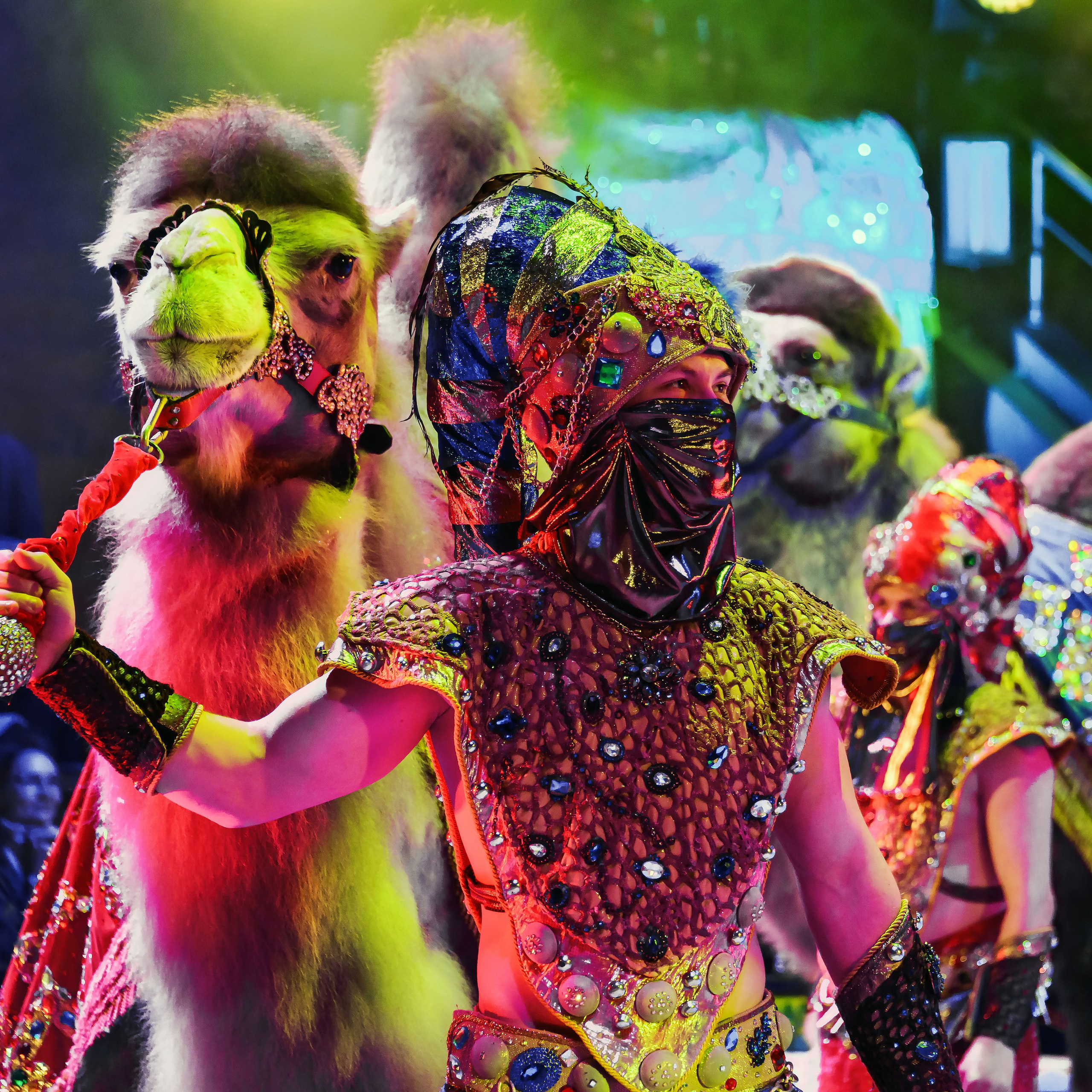 Песчаная сказка Гии Эрадзе — волшебное шоу 🎪, которое должен увидеть каждый, кто ценит красоту🌹, талант 🎭 и умение мечтать 💫. Цирковой фотограф Андрей Пухов (Jazz)