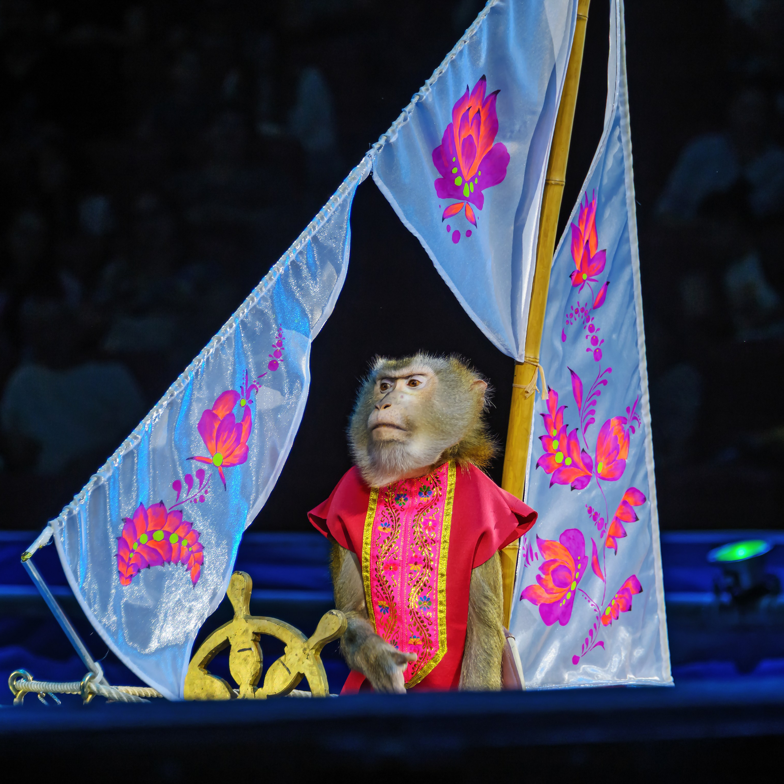 🎪 «Цирк на воде💦 🏰Царство фонтанов**»✨🌊🎭. Фотограф Андрей Пухов (Jazz)