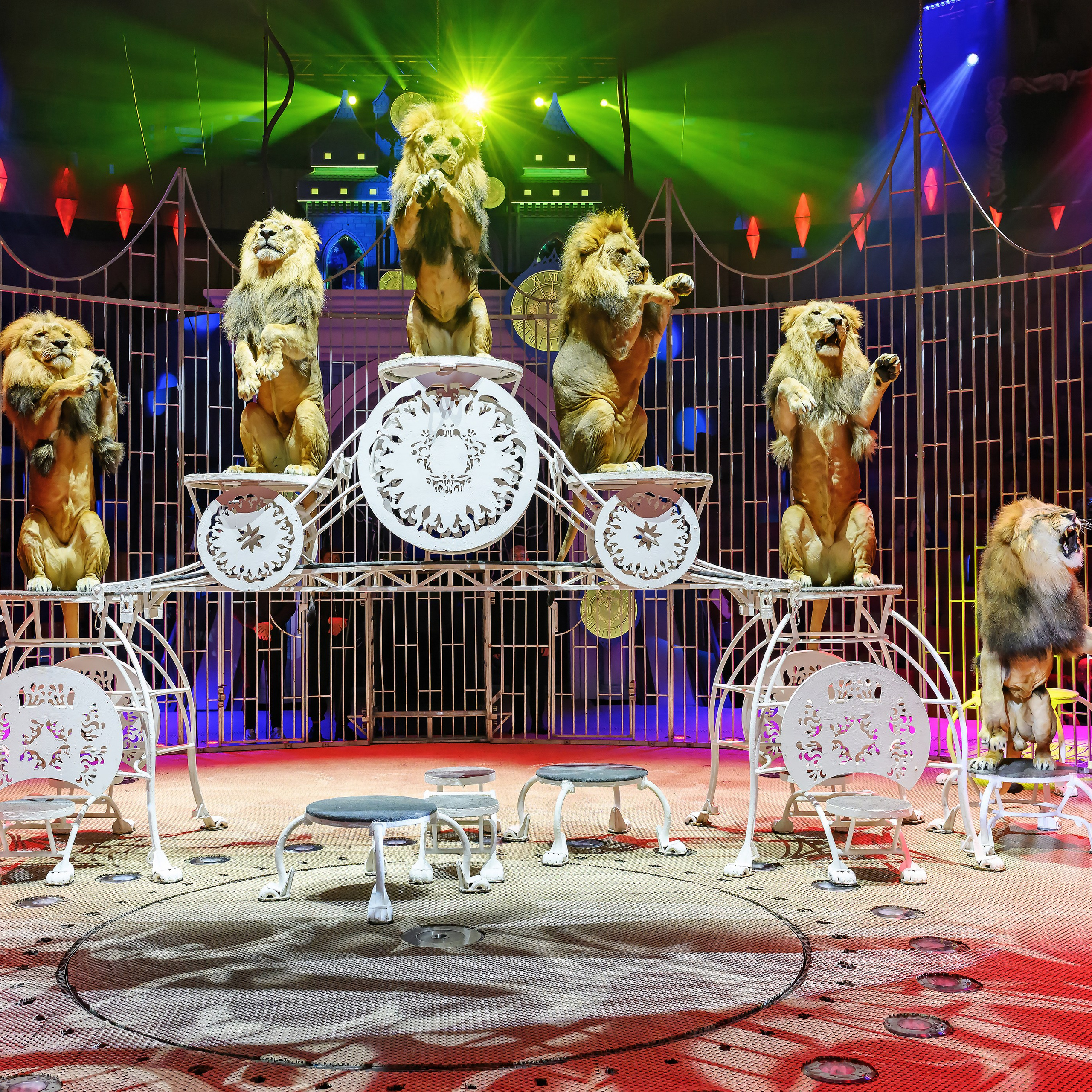 «13 месяцев. Шоу ледяных фонтанов»❄💙. Фотограф Андрей Пухов (Jazz)