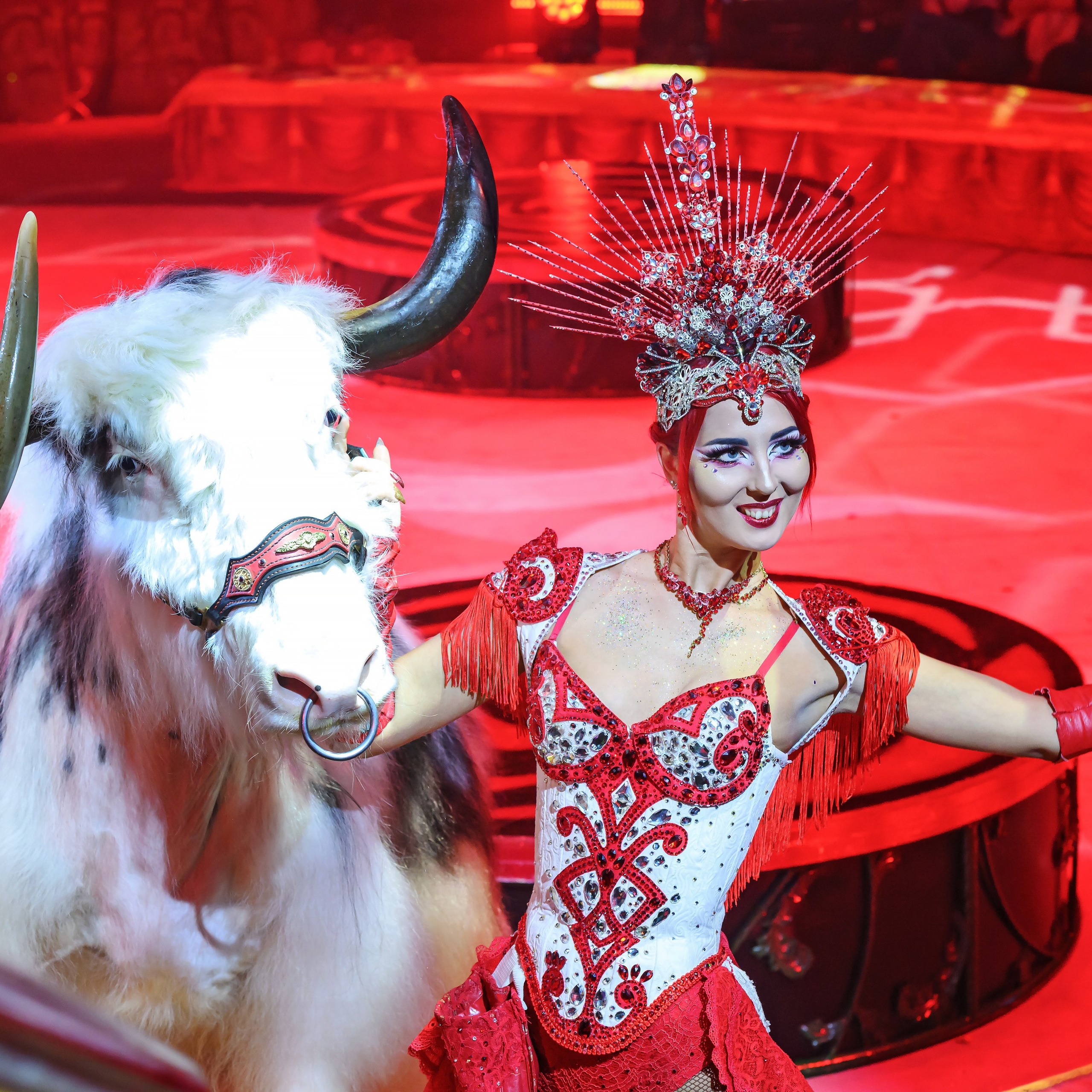 Вечное искусство удивлять: Королевский цирк Гии Эрадзе 👑 Роскошь здесь в каждой детали 💫✨⭐. Фотограф Андрей Пухов (Jazz)