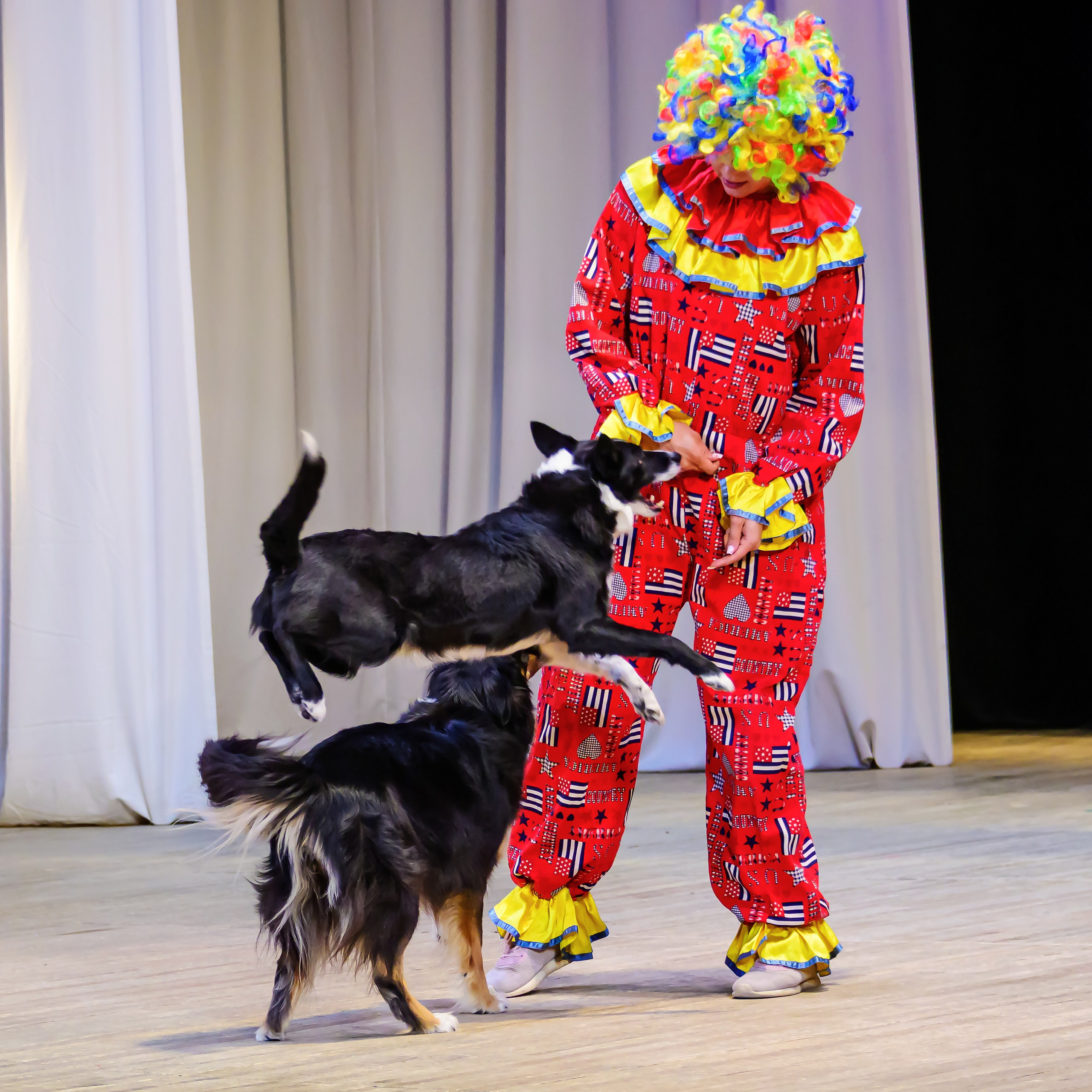 Народный коллектив, цирк «Юность» ДК ГАЗ, г. Нижний Новгород 👏. Фотограф Андрей Пухов (Jazz)