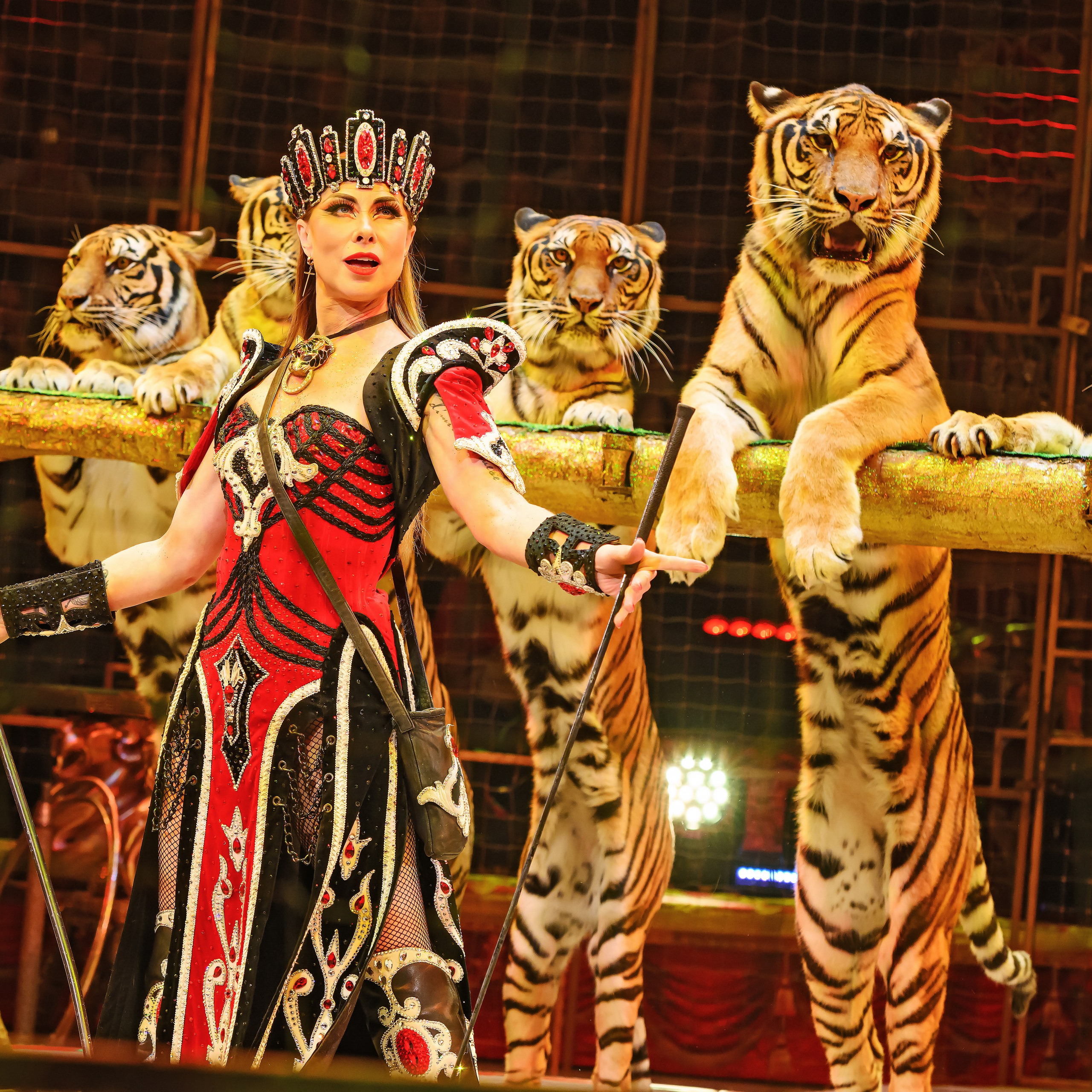 Шоу «Королевский цирк». Фотограф Андрей Пухов (Jazz)