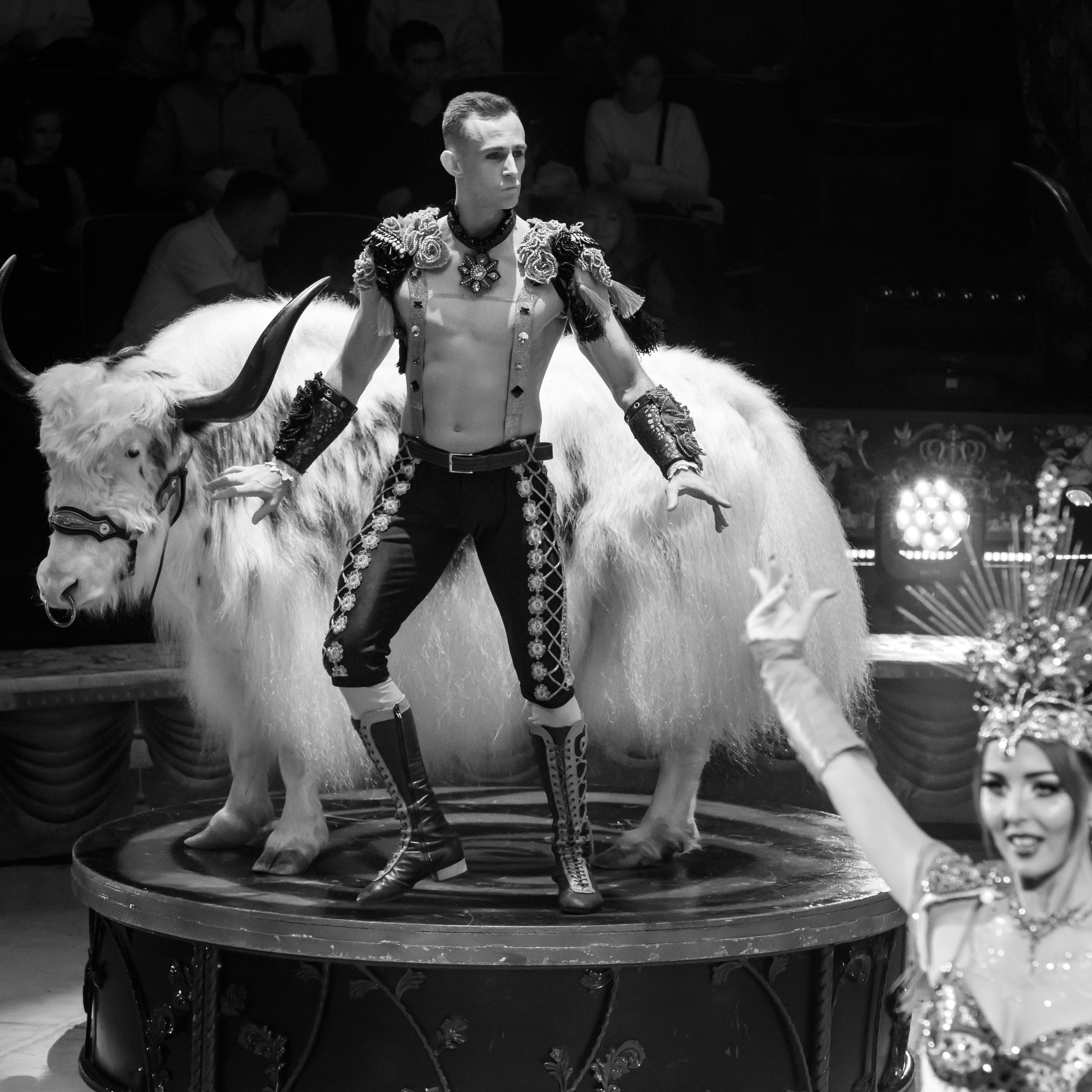 Королевский цирк ПРЕМЬЕРА НН. Фотограф Андрей Пухов (Jazz)