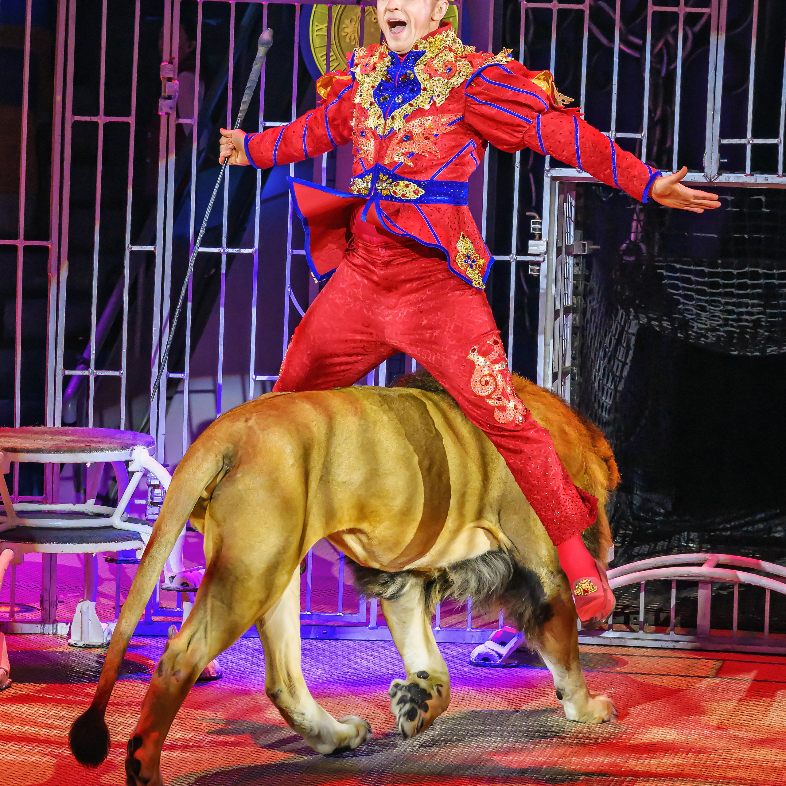 «13 месяцев. Шоу ледяных фонтанов»❄💙. Фотограф Андрей Пухов (Jazz)