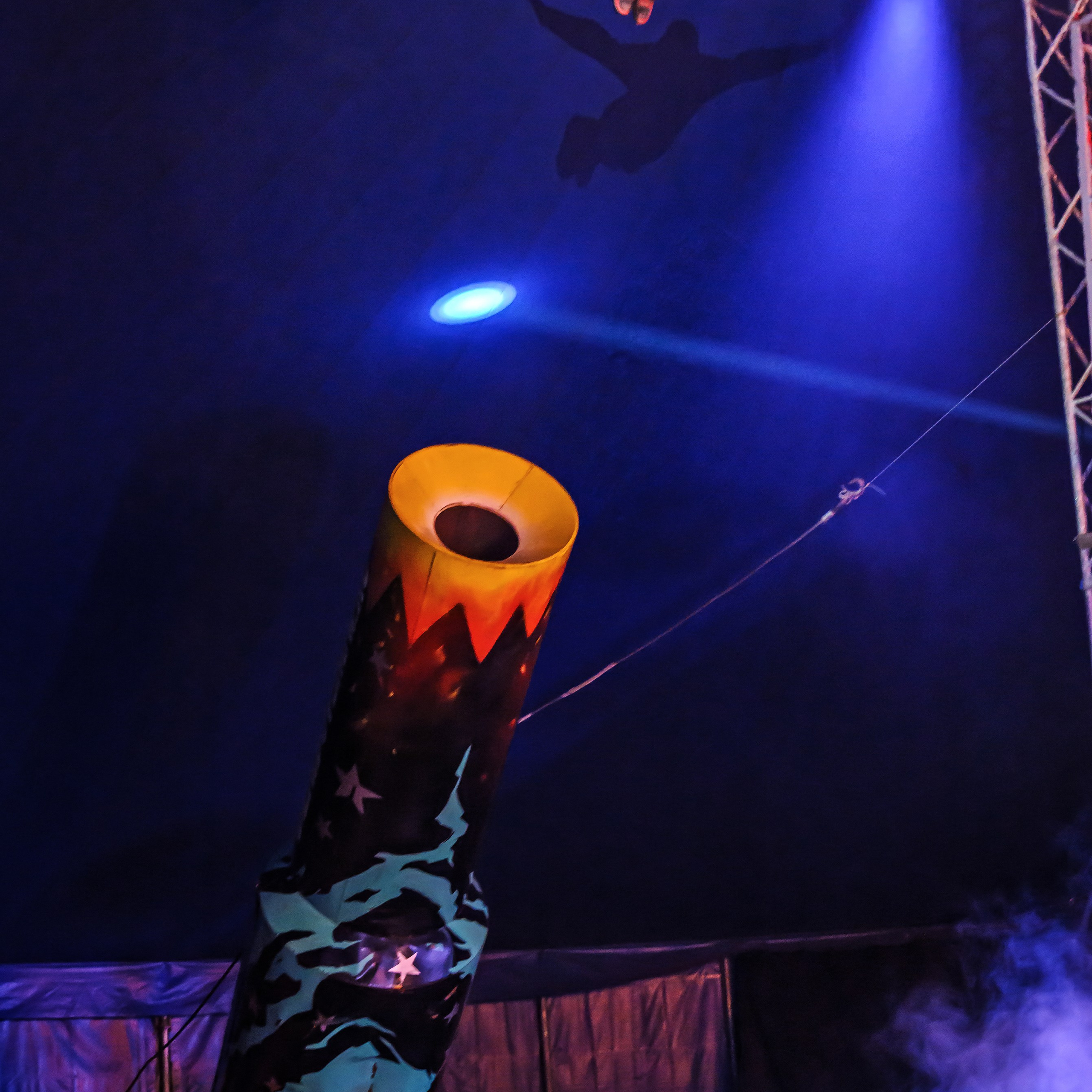 Шоу Демидовых. Цирковой фотограф Андрей Пухов (Jazz)