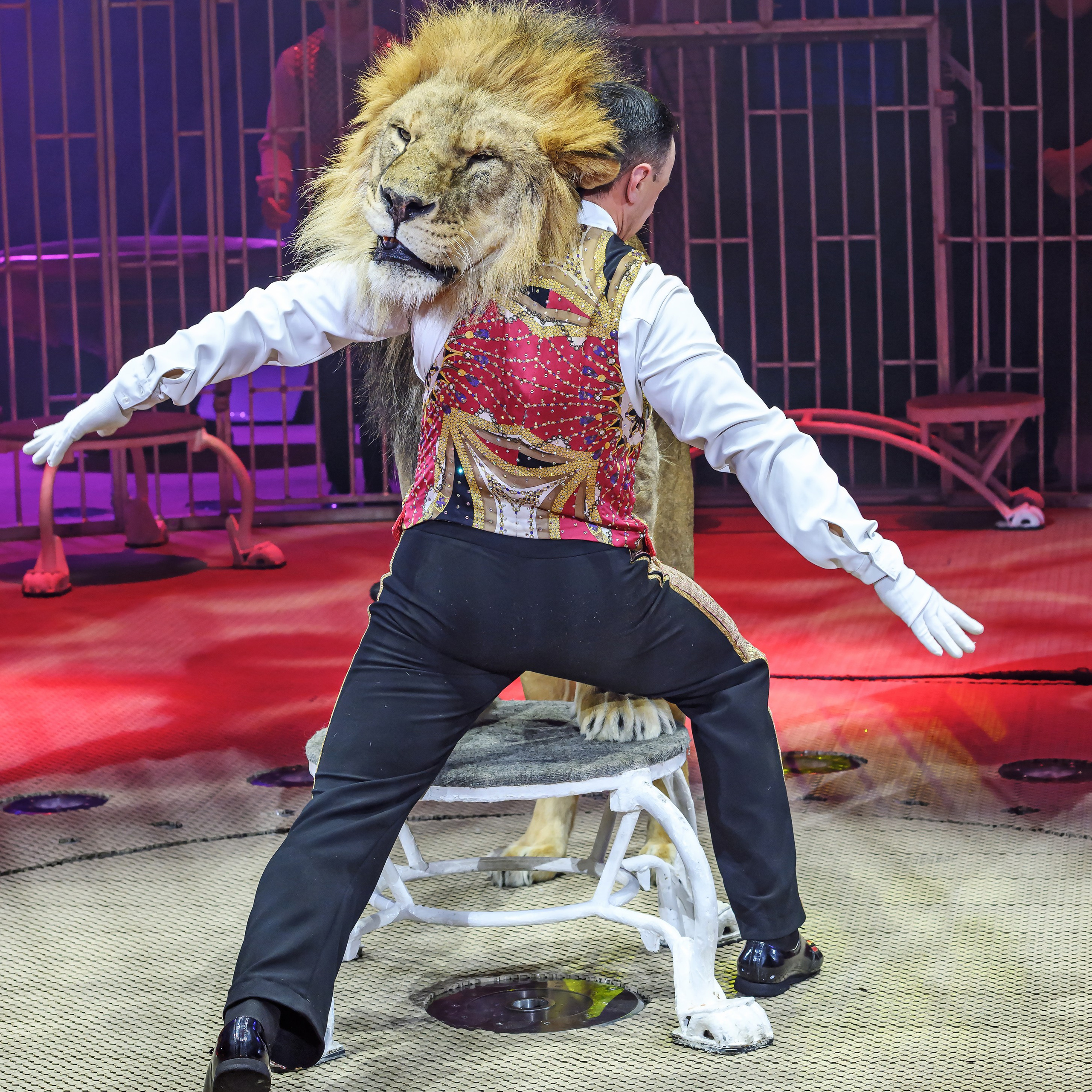 Принц Цирка (Продюсерский центр Влада Гончарова)🎪🦁. Фотограф Андрей Пухов (Jazz)