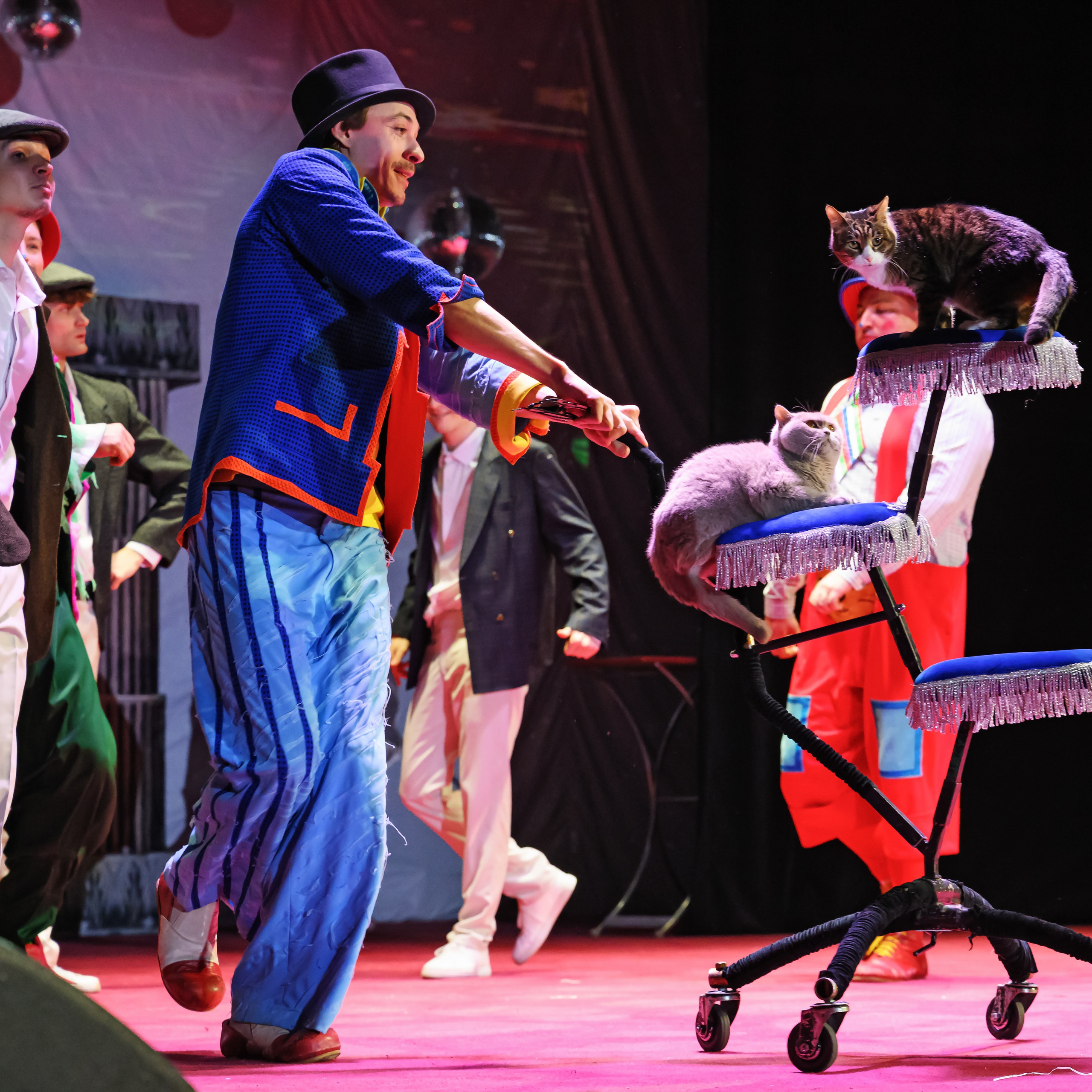 Великий клоун, Народный артист России, Юрий Куклачёв со звёздами эстрады и цирка, уникальный бенефис!. Фотограф Андрей Пухов (Jazz)