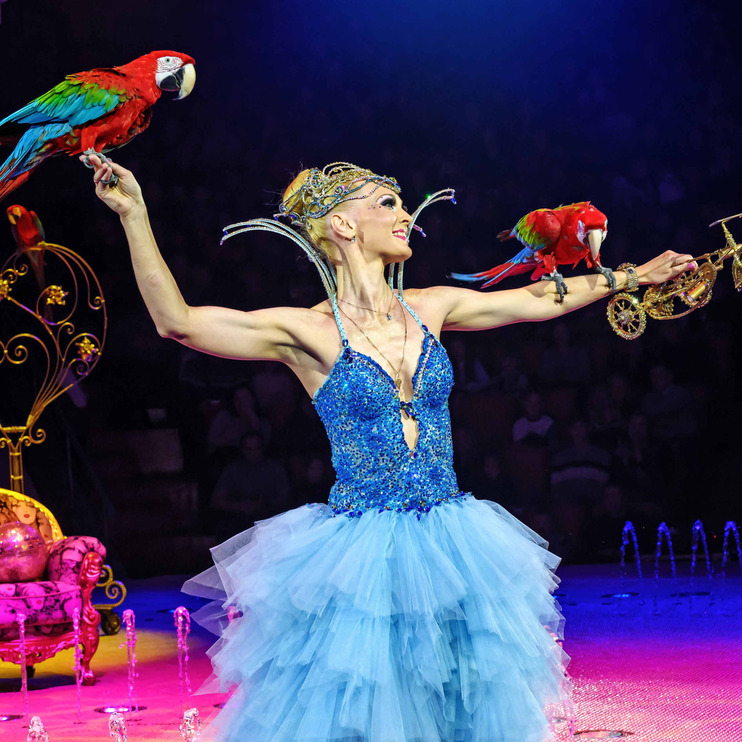 «13 месяцев. Шоу ледяных фонтанов»❄💙. Фотограф Андрей Пухов (Jazz)