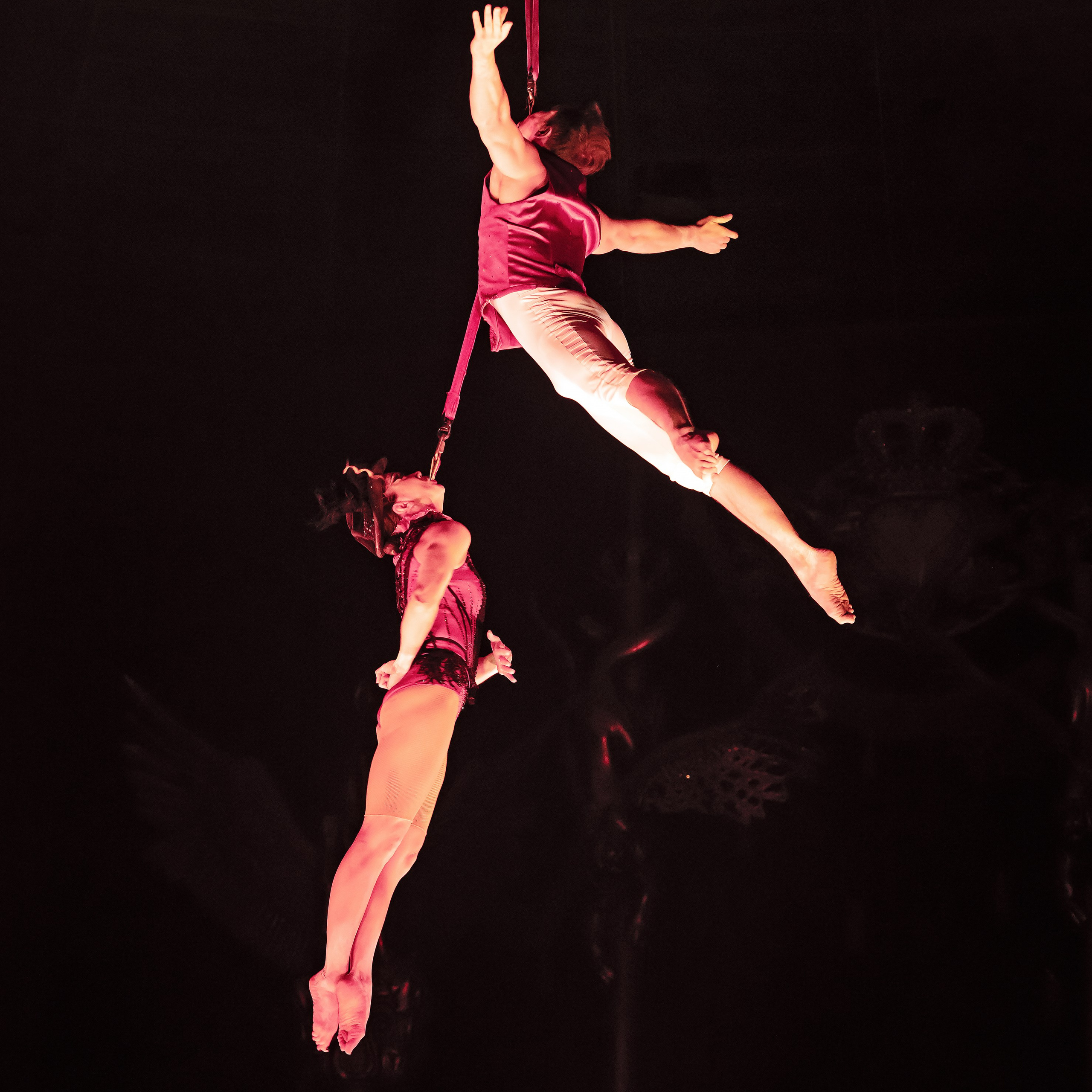 Королевский цирк ПРЕМЬЕРА НН. Фотограф Андрей Пухов (Jazz)